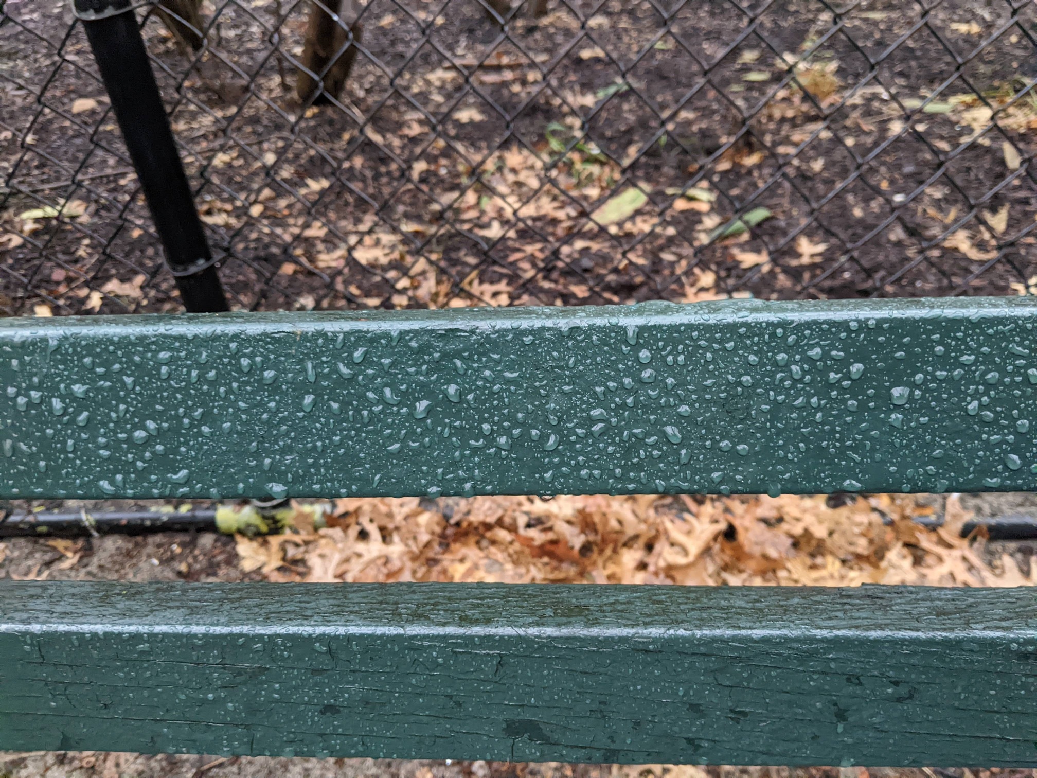 I saw this bench in Central Park