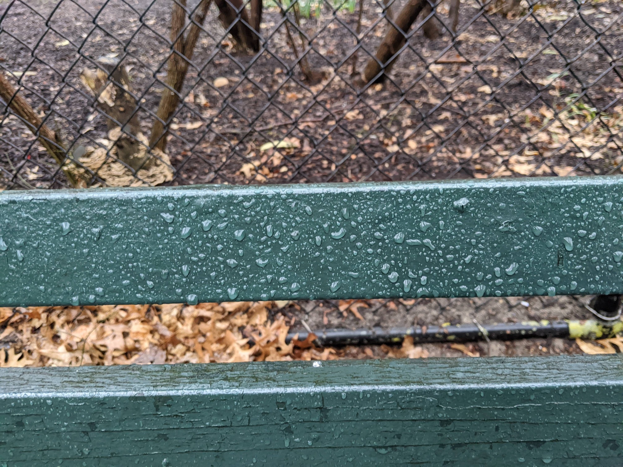 I saw this bench in Central Park