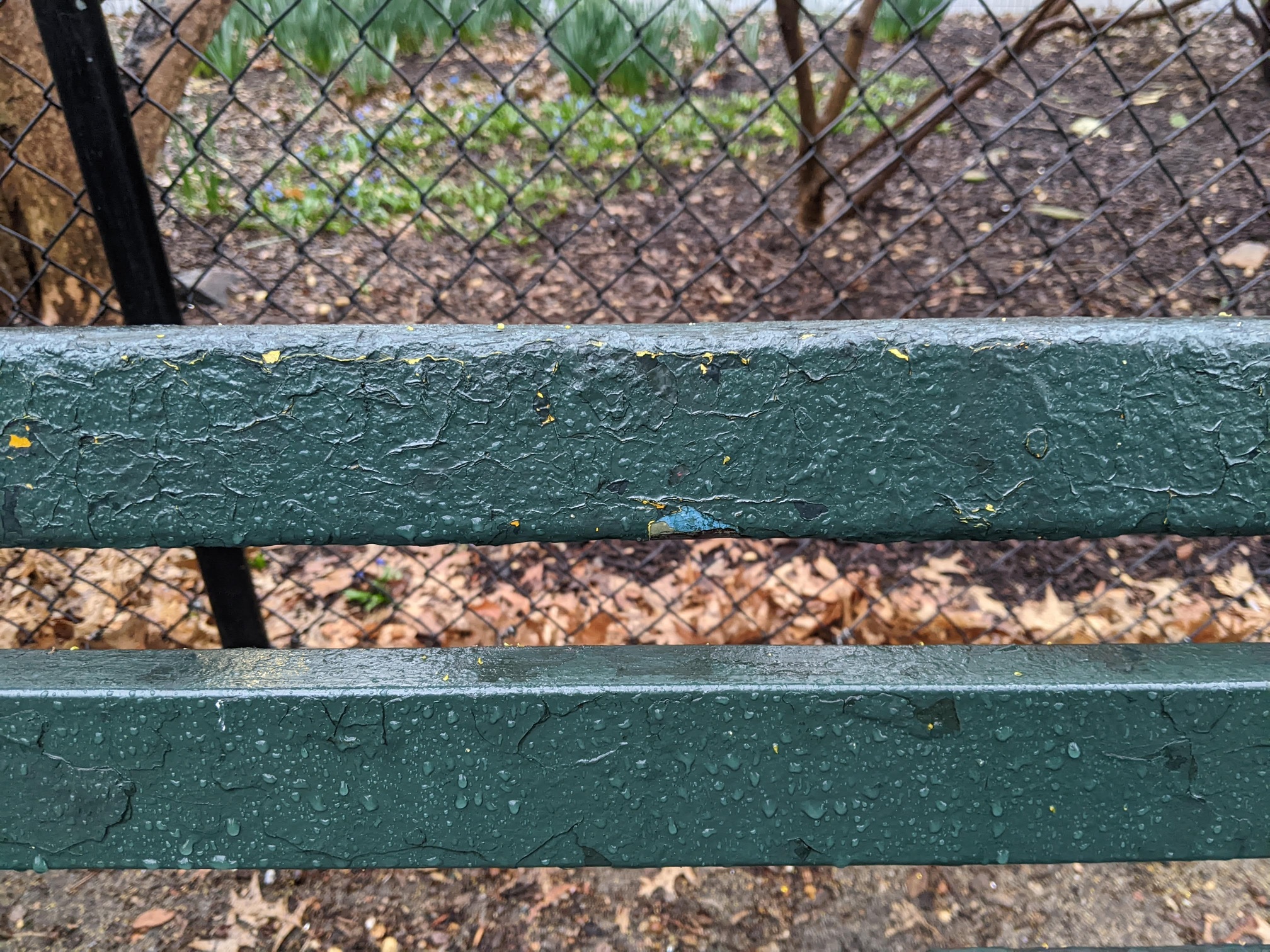 I saw this bench in Central Park