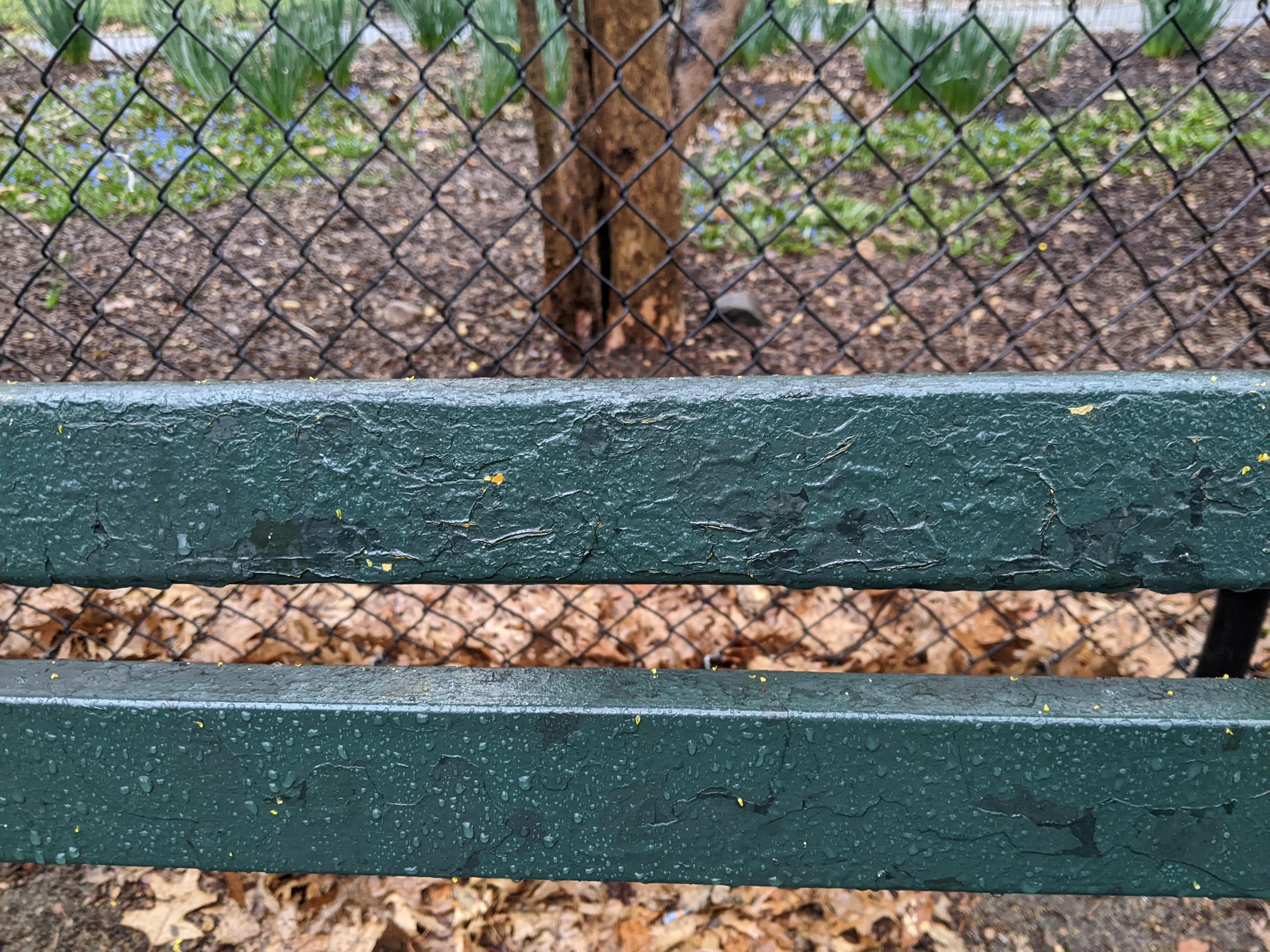 I saw this bench in Central Park