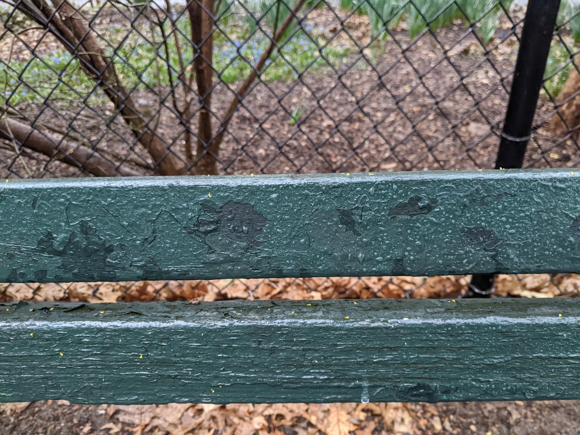 I saw this bench in Central Park