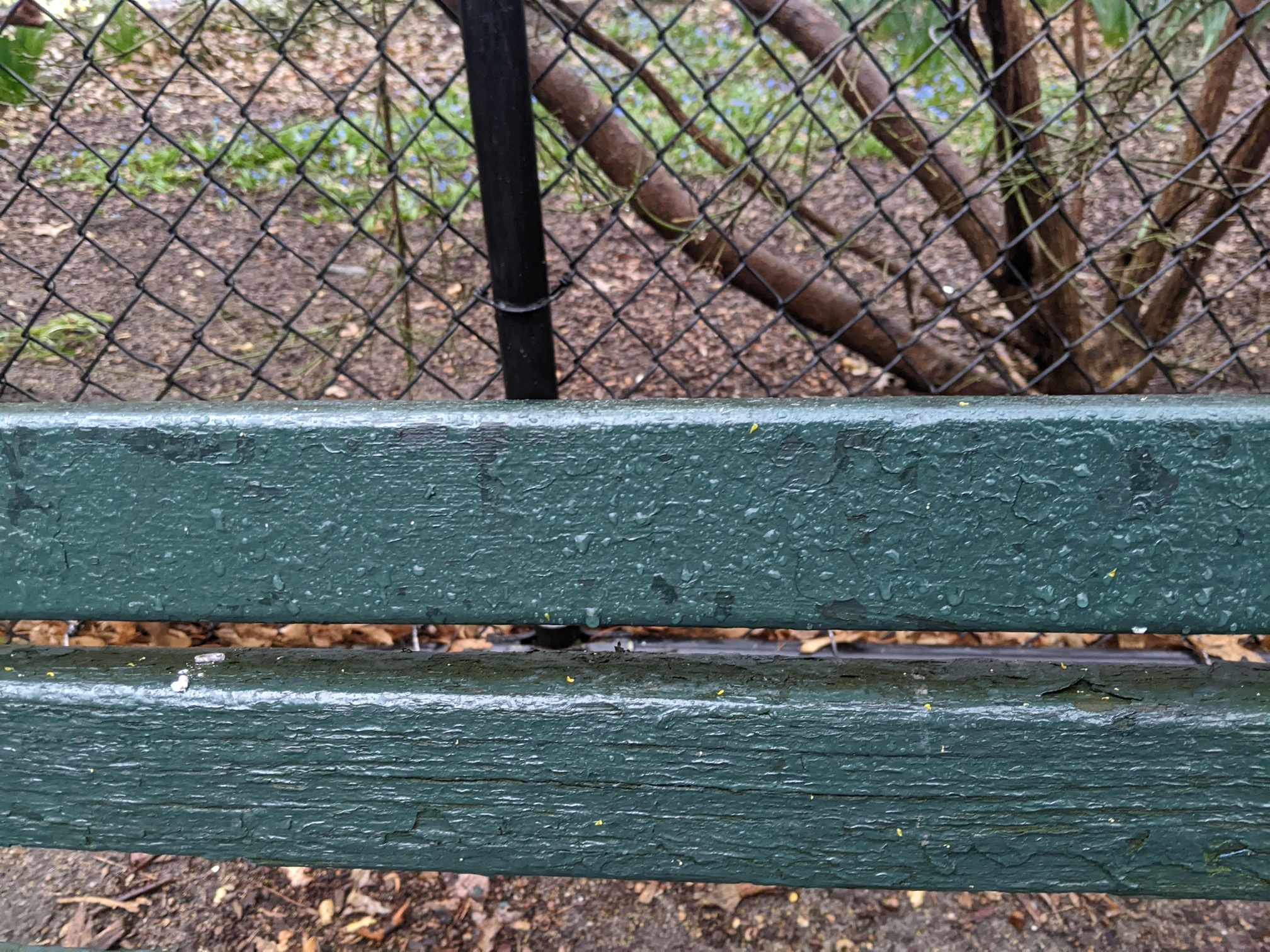 I saw this bench in Central Park