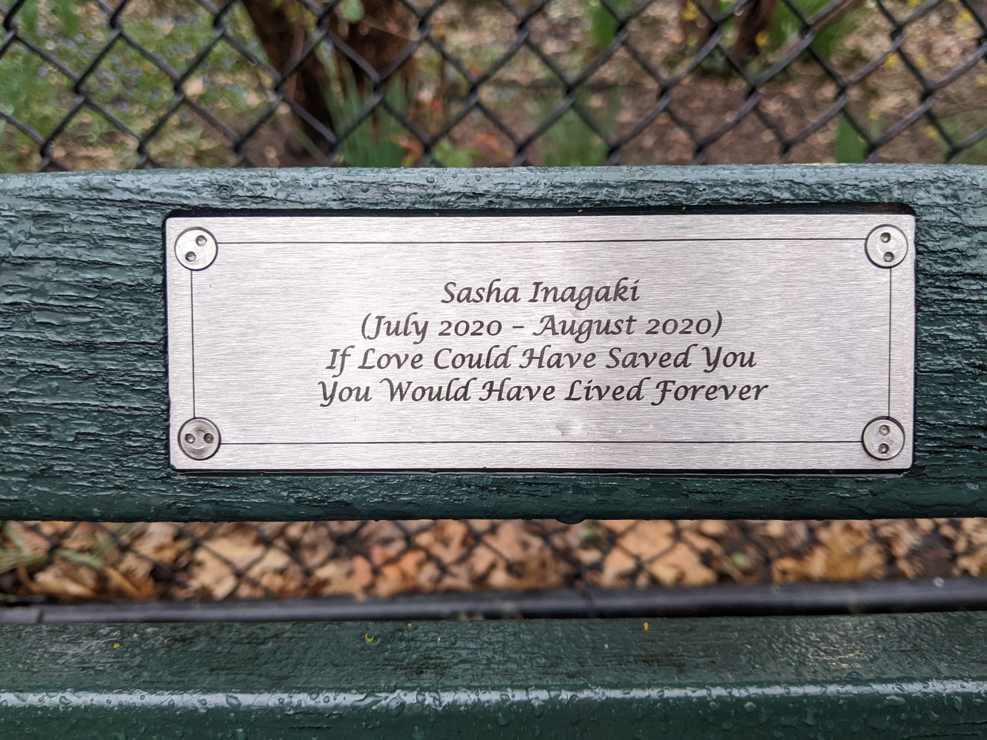 I saw this bench in Central Park