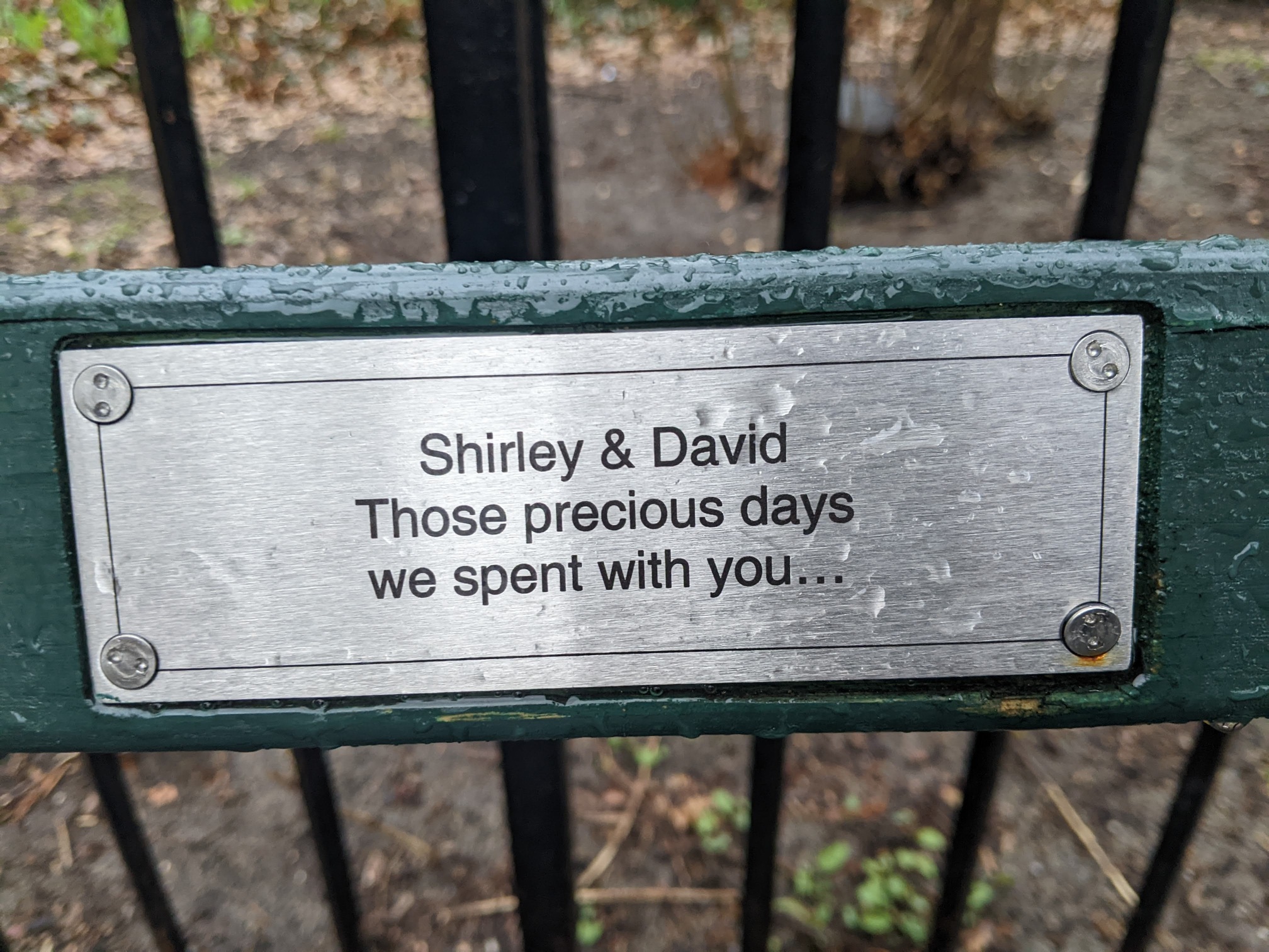 I saw this bench in Central Park