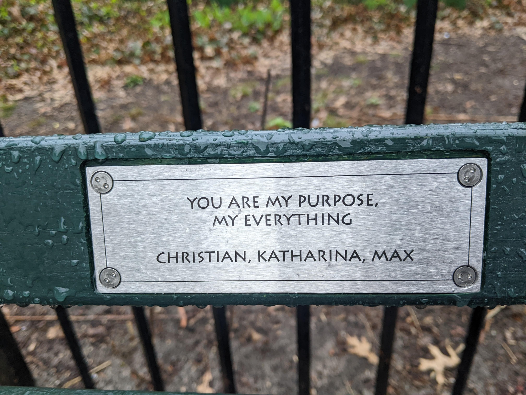 I saw this bench in Central Park