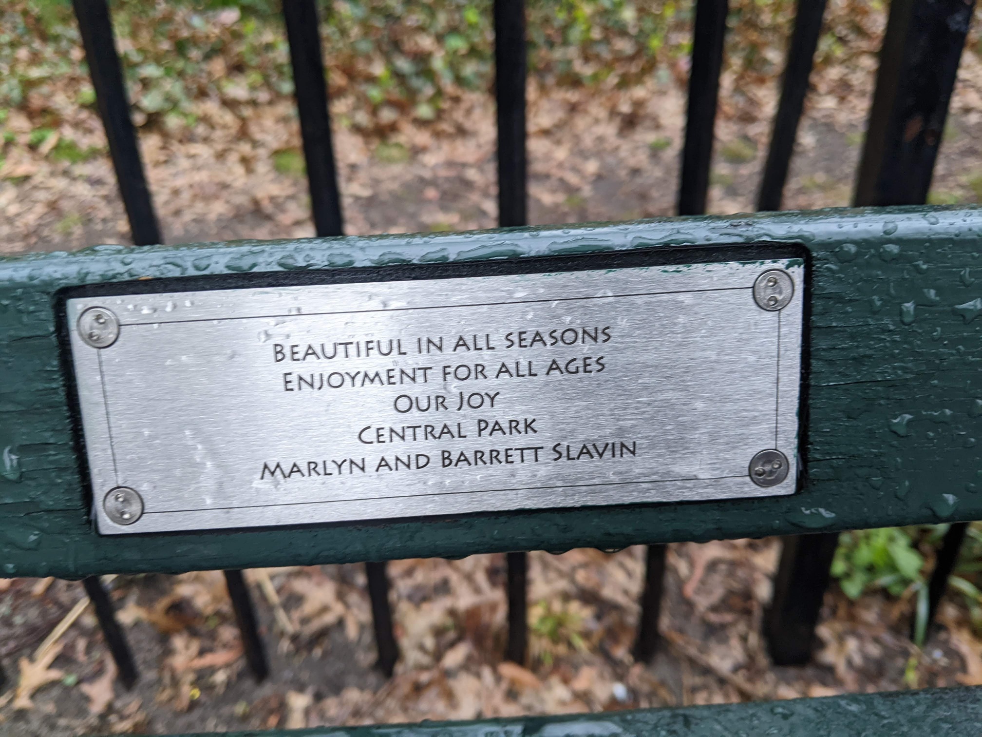 I saw this bench in Central Park