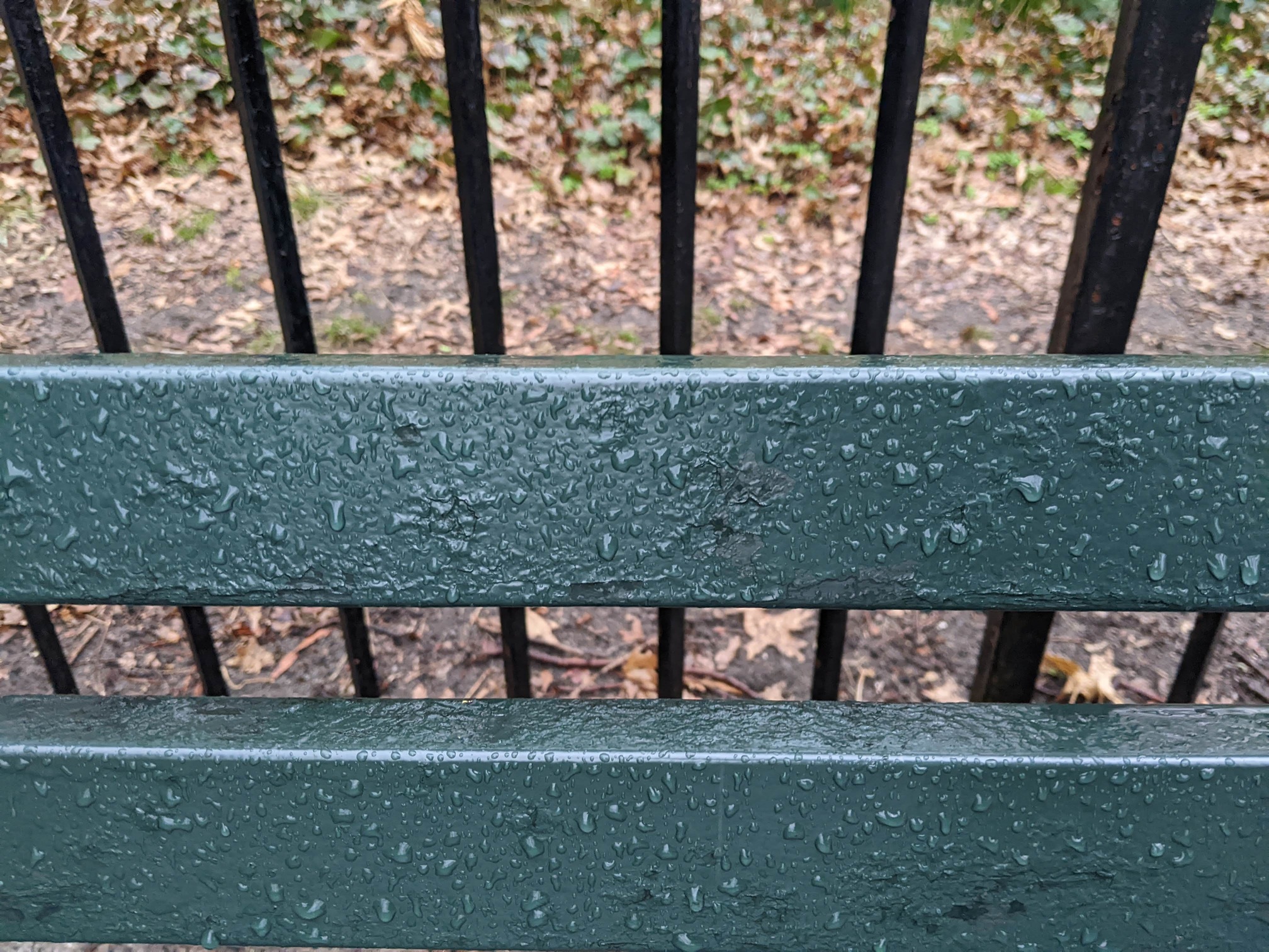 I saw this bench in Central Park