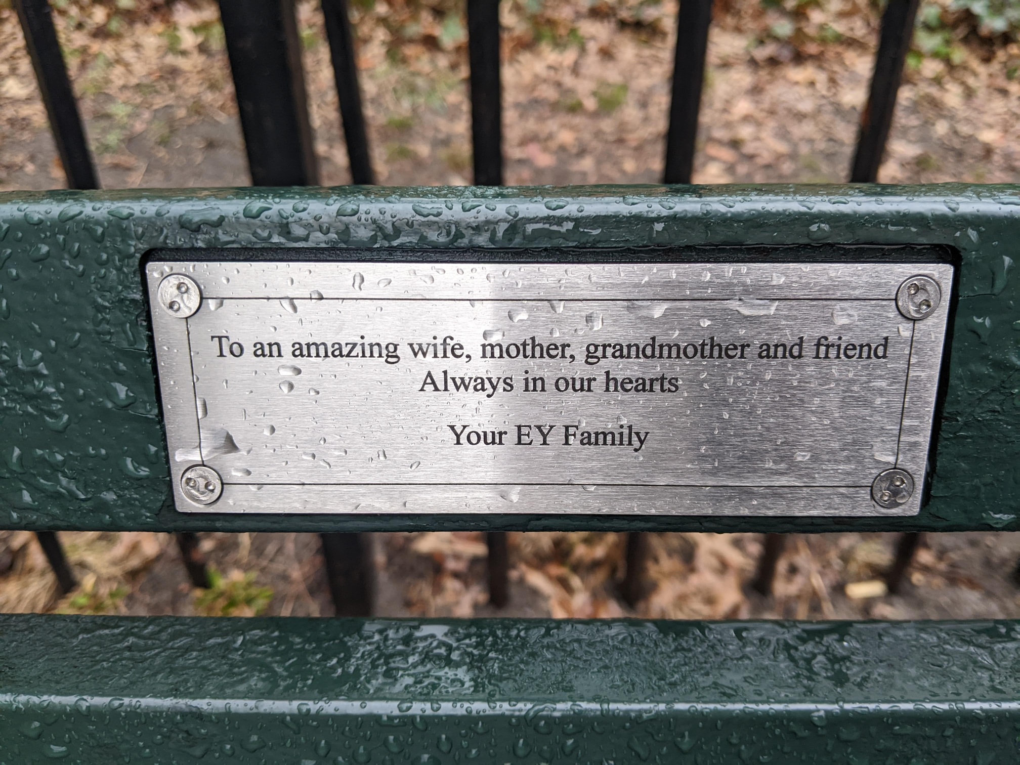 I saw this bench in Central Park