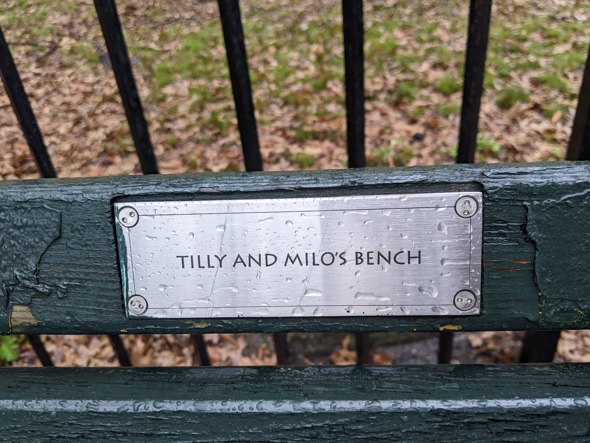 I saw this bench in Central Park