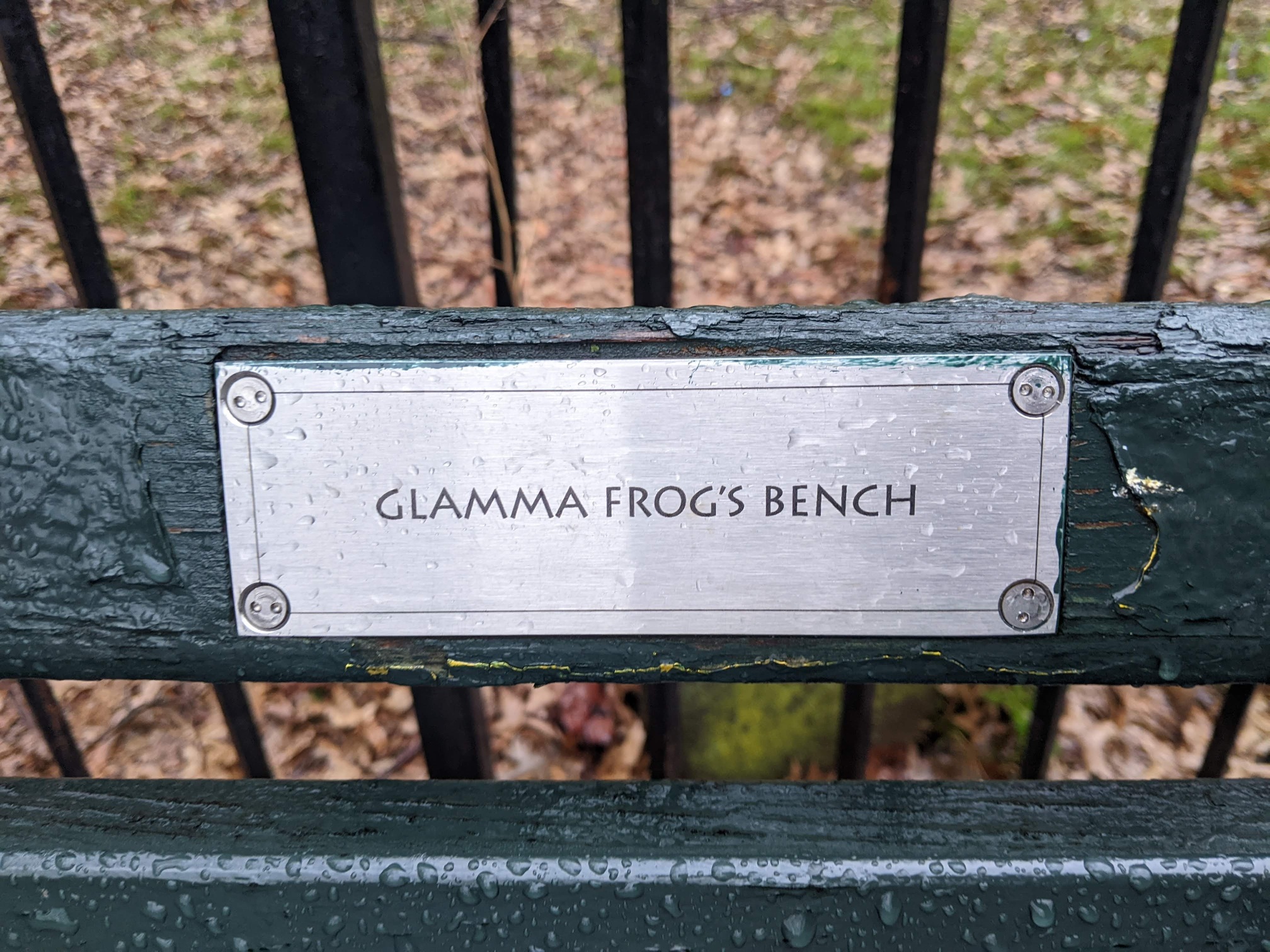 I saw this bench in Central Park