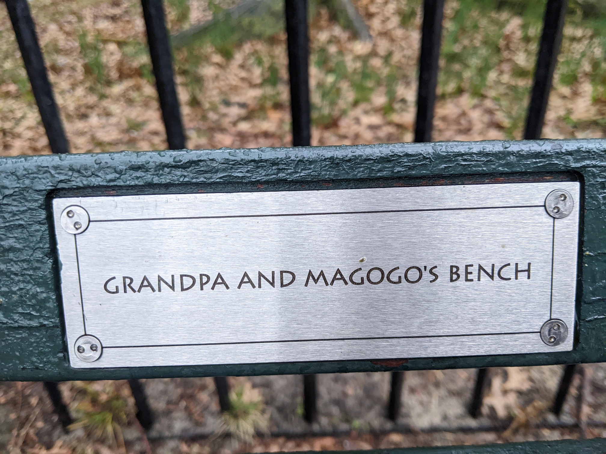 I saw this bench in Central Park