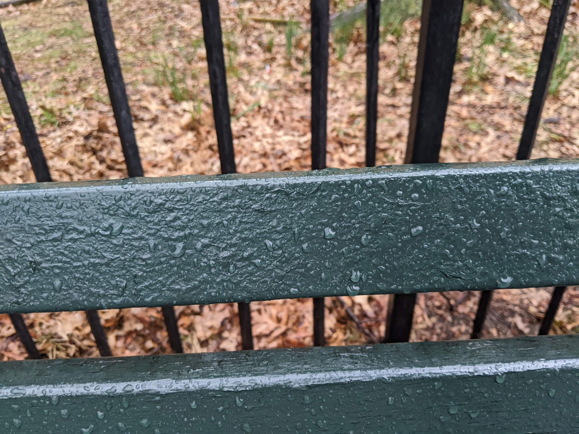 I saw this bench in Central Park