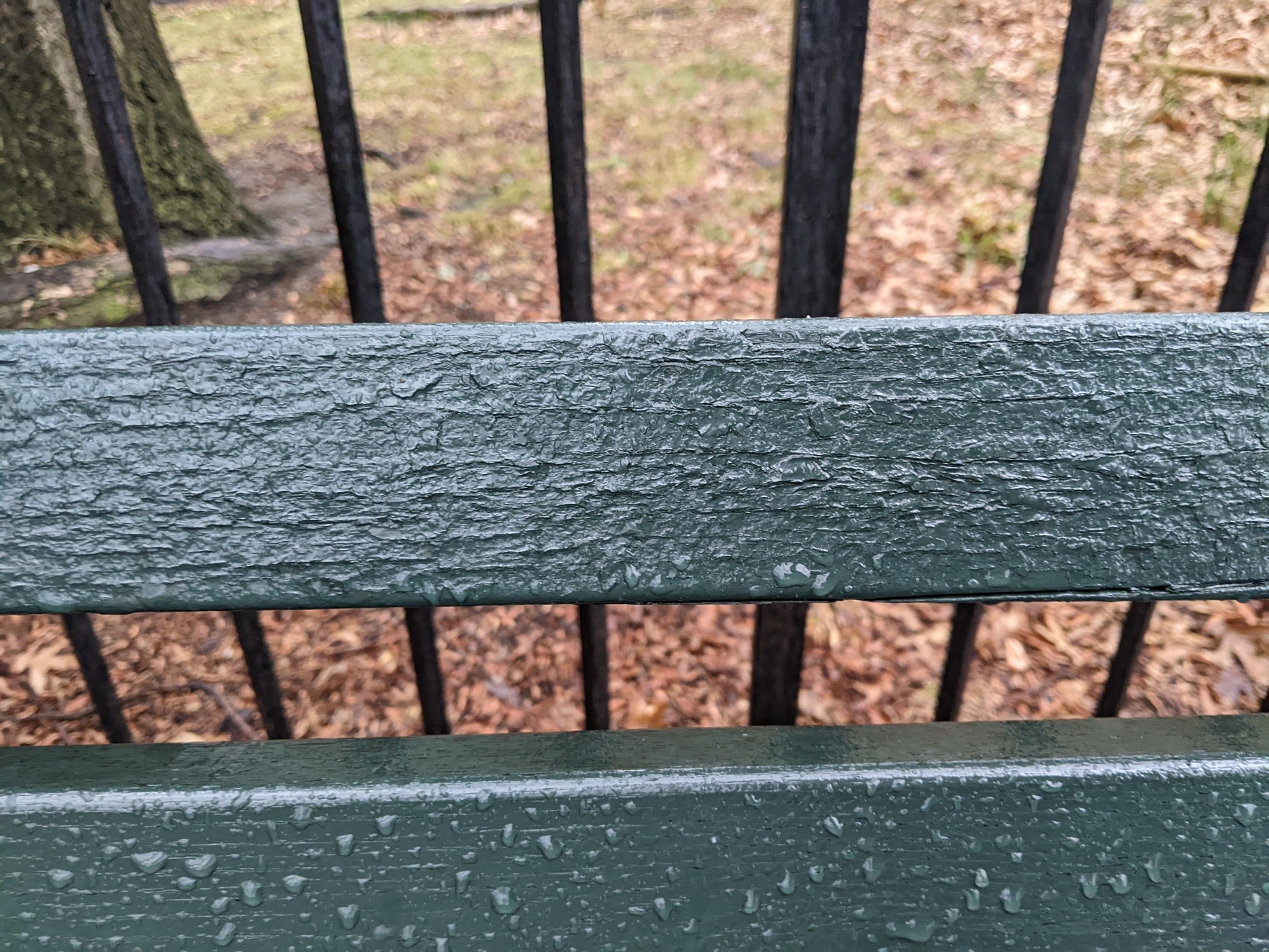 I saw this bench in Central Park