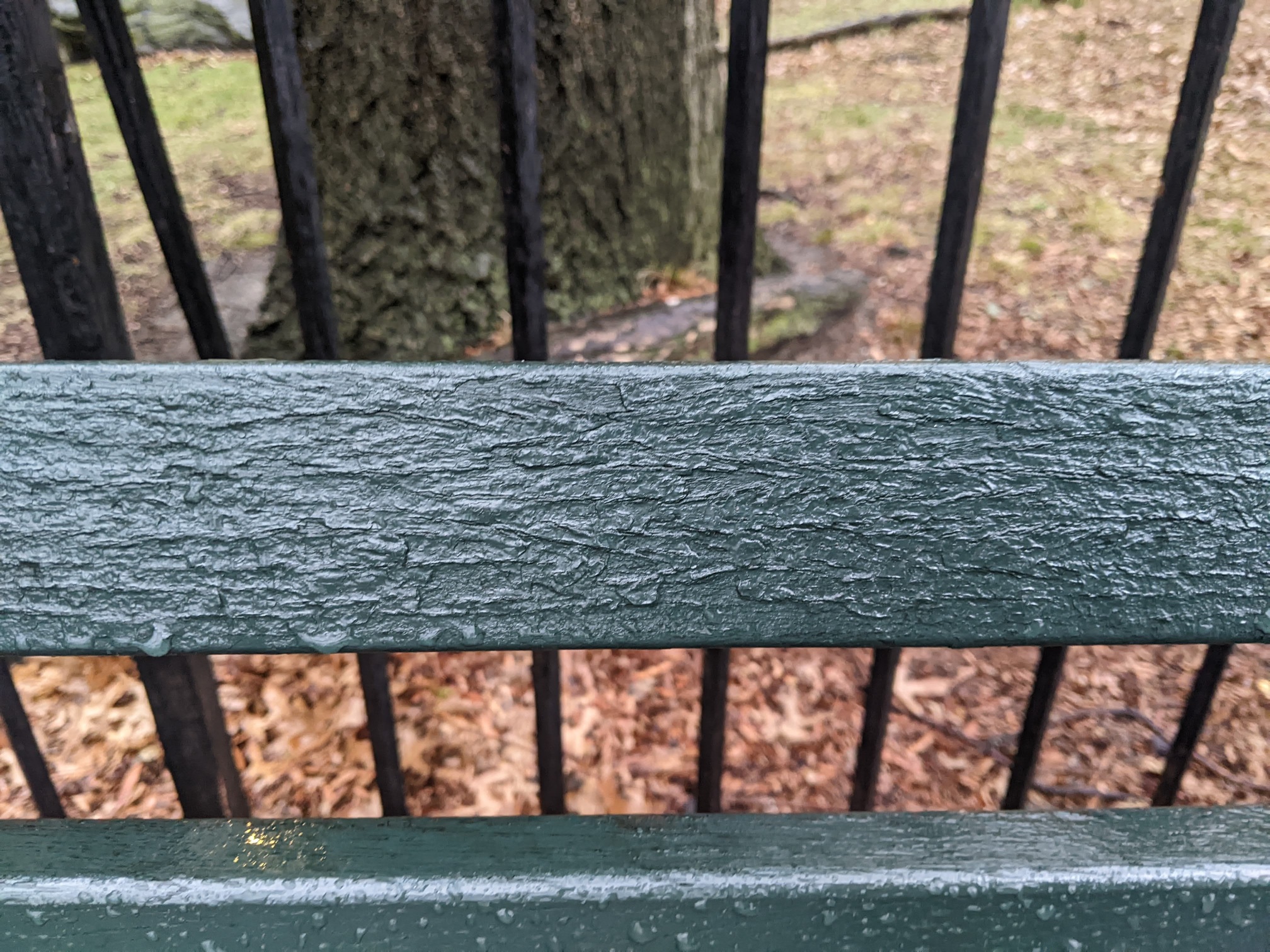 I saw this bench in Central Park