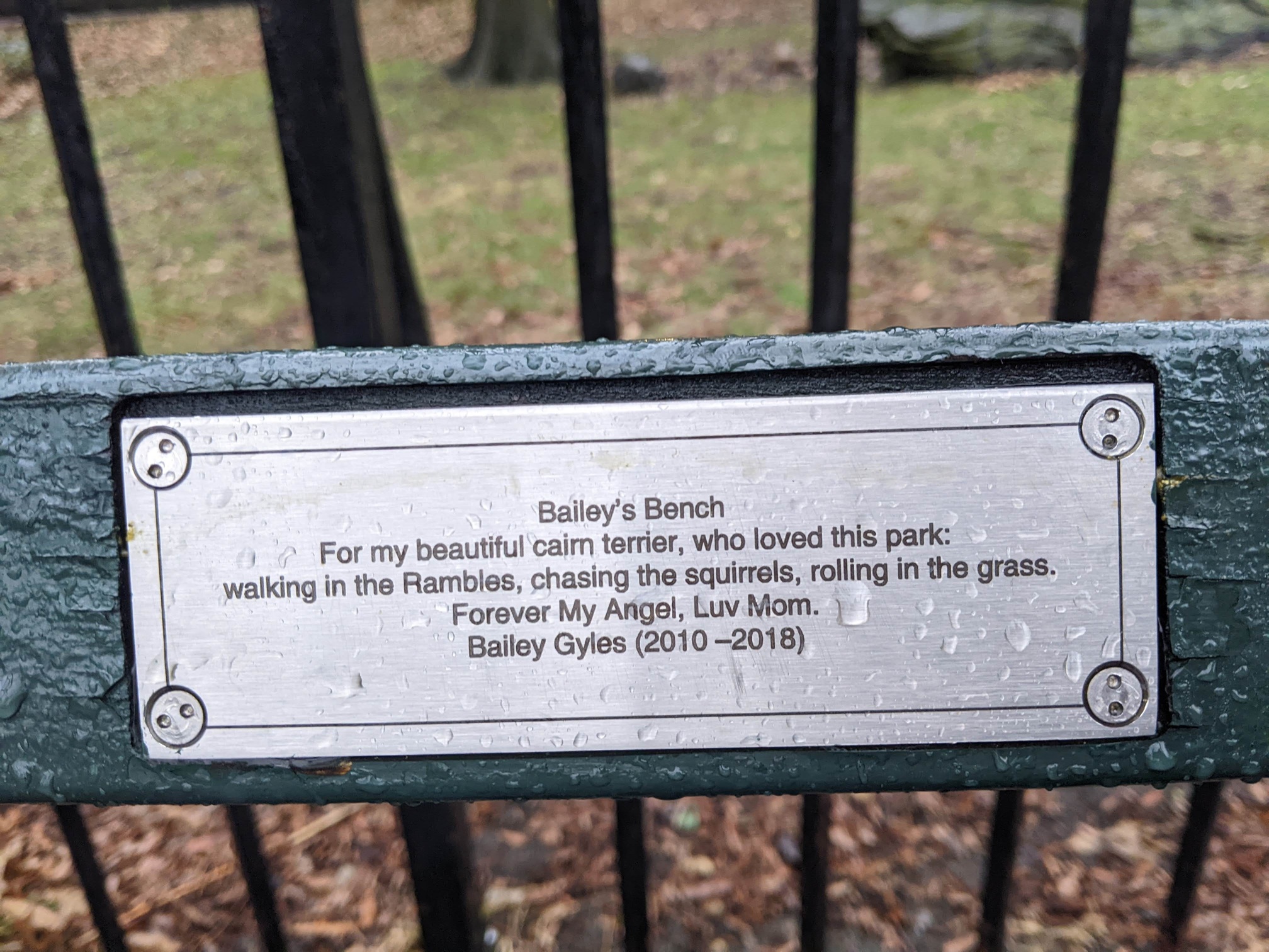 I saw this bench in Central Park