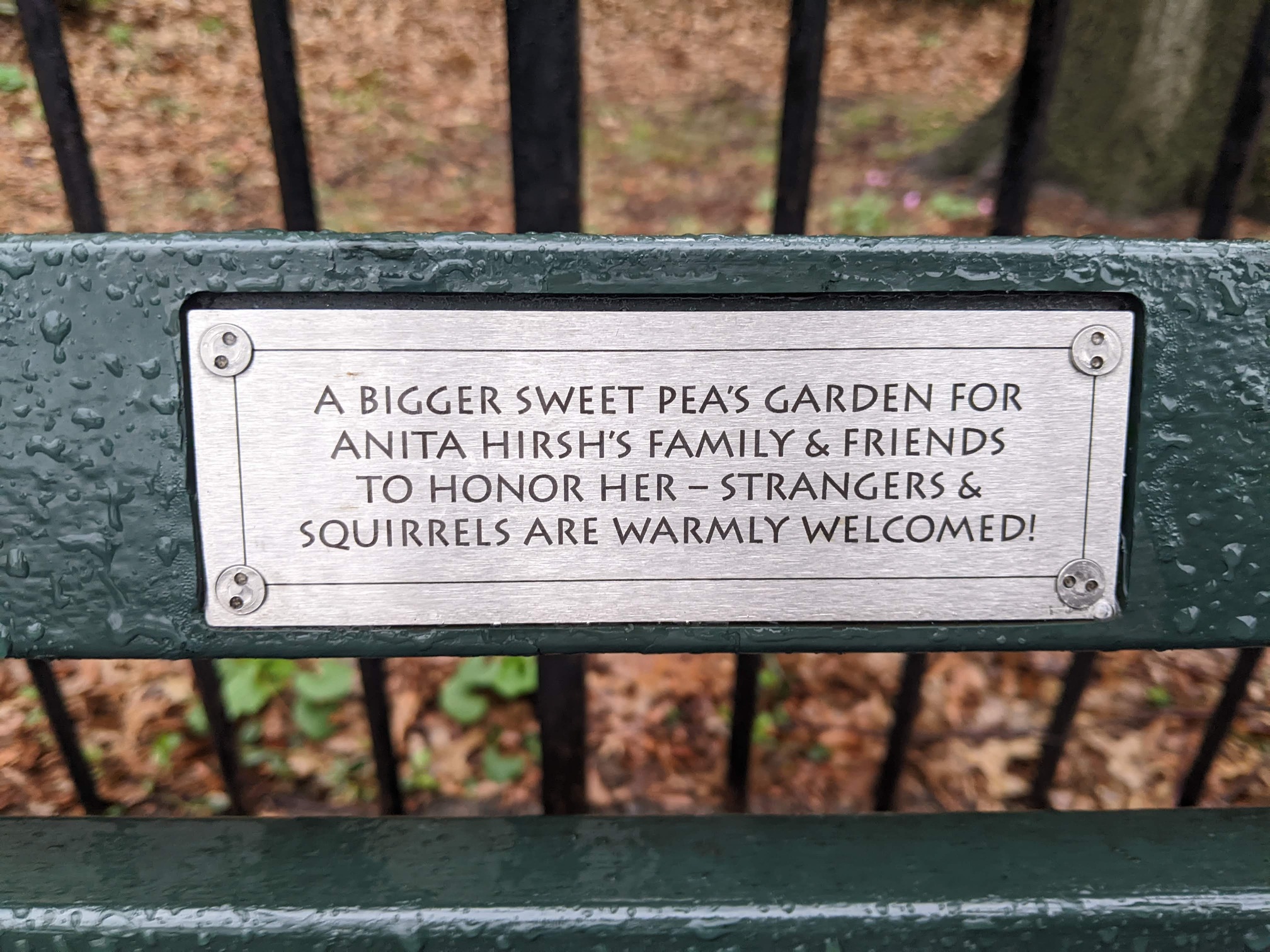 I saw this bench in Central Park