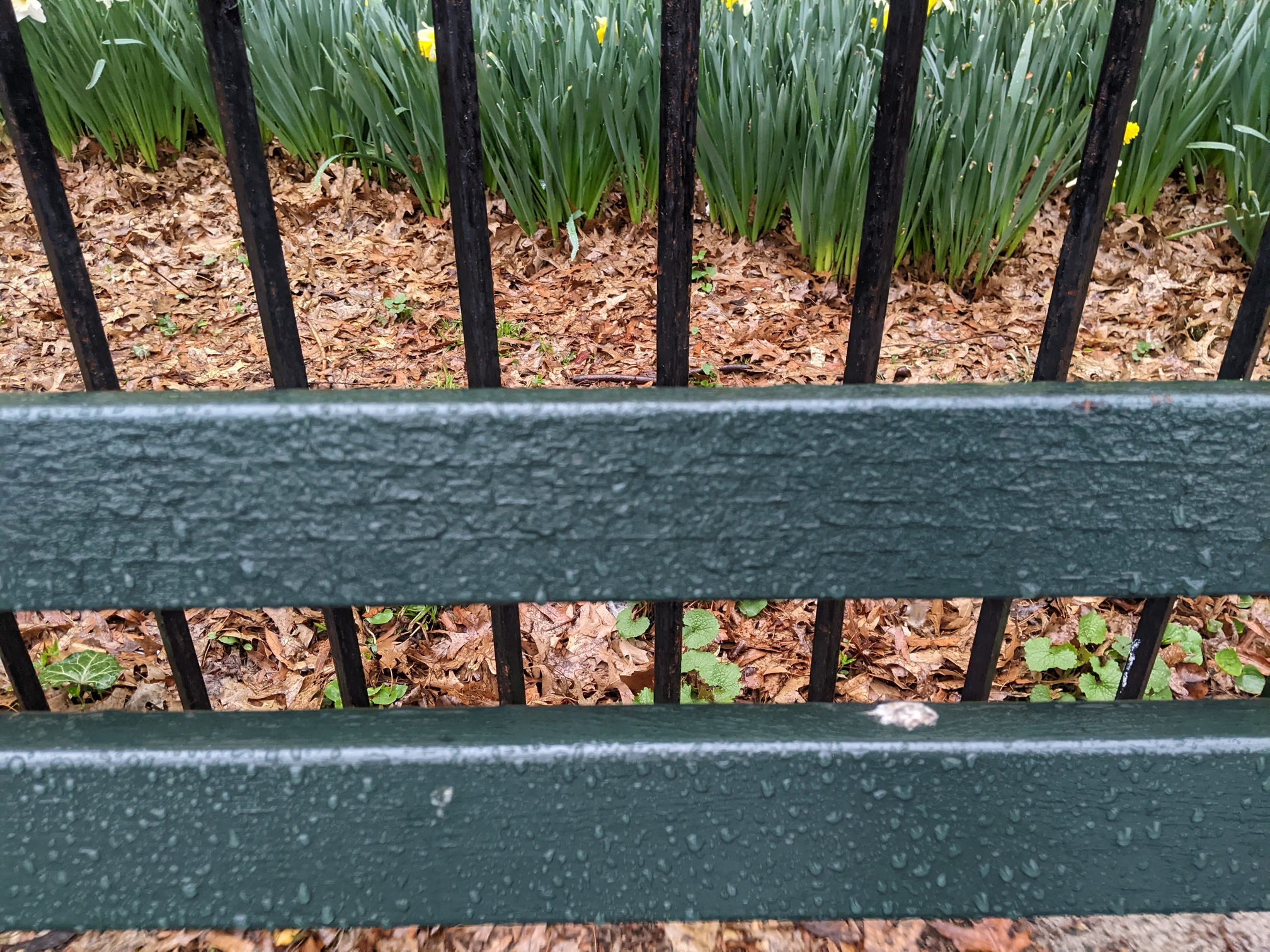 I saw this bench in Central Park