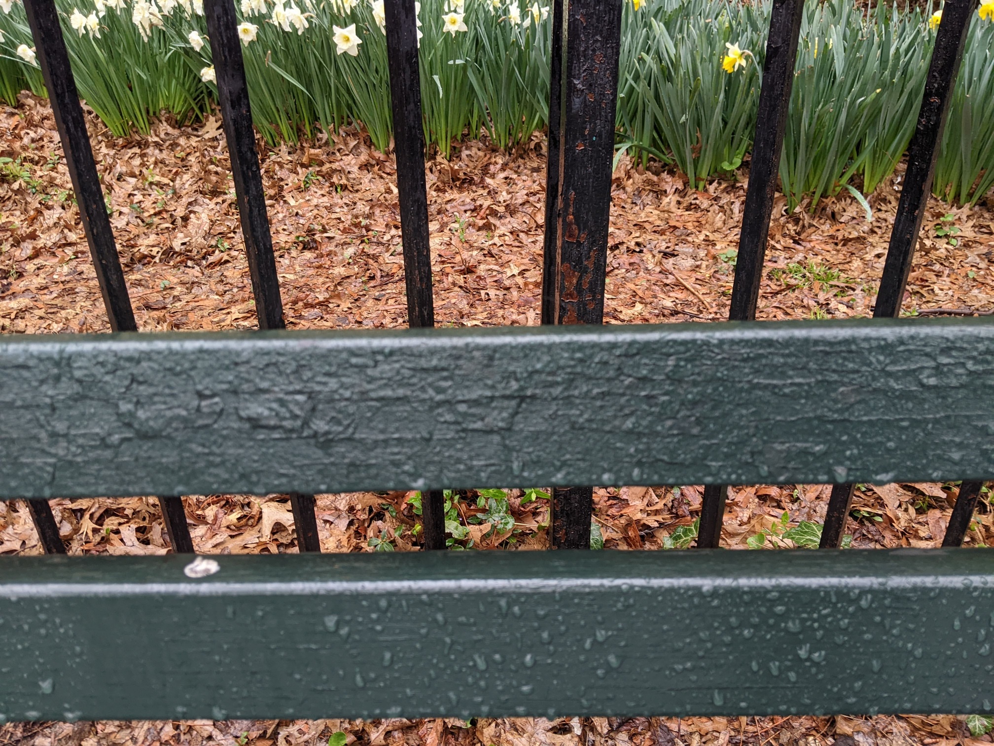 I saw this bench in Central Park