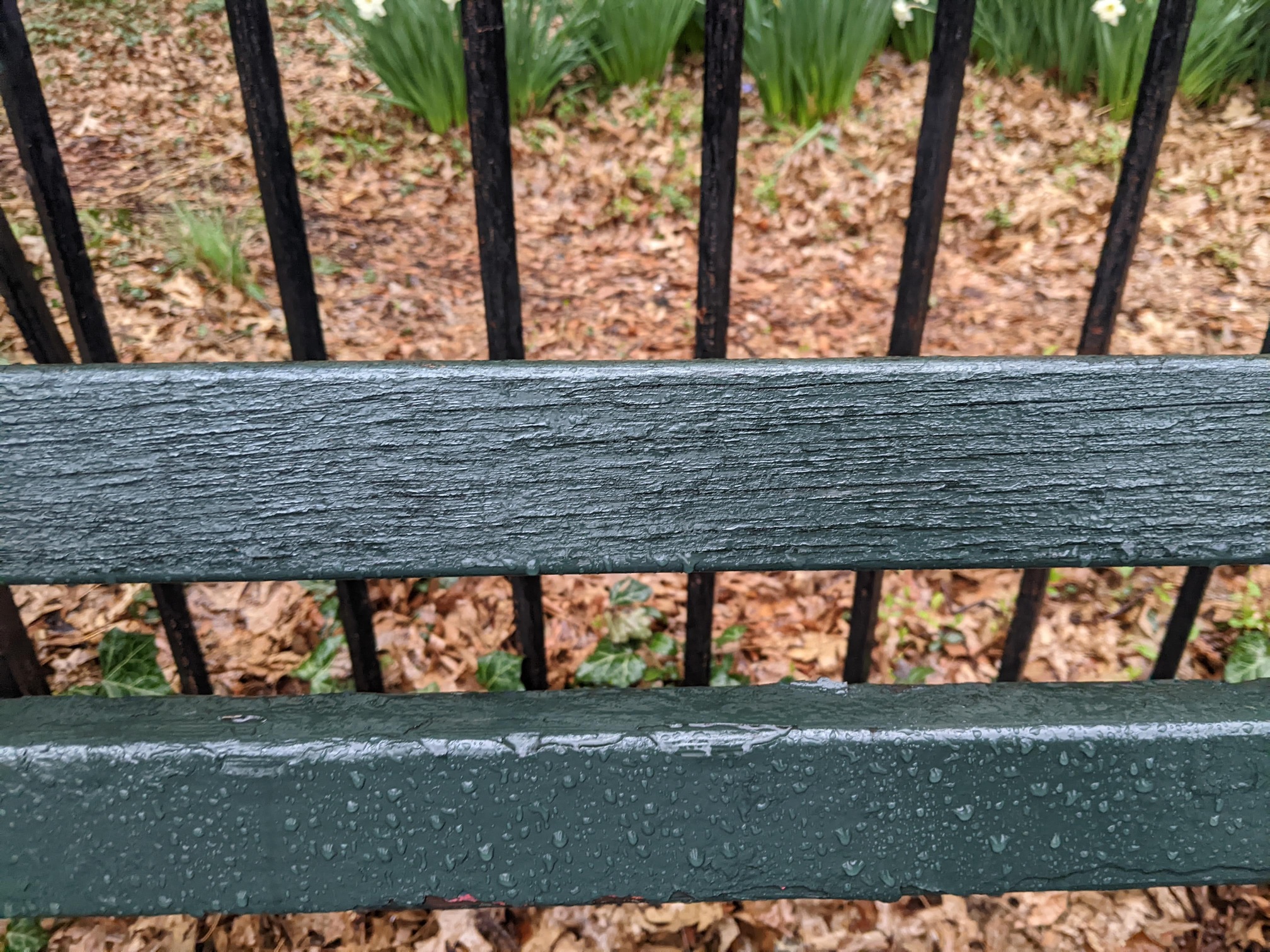 I saw this bench in Central Park