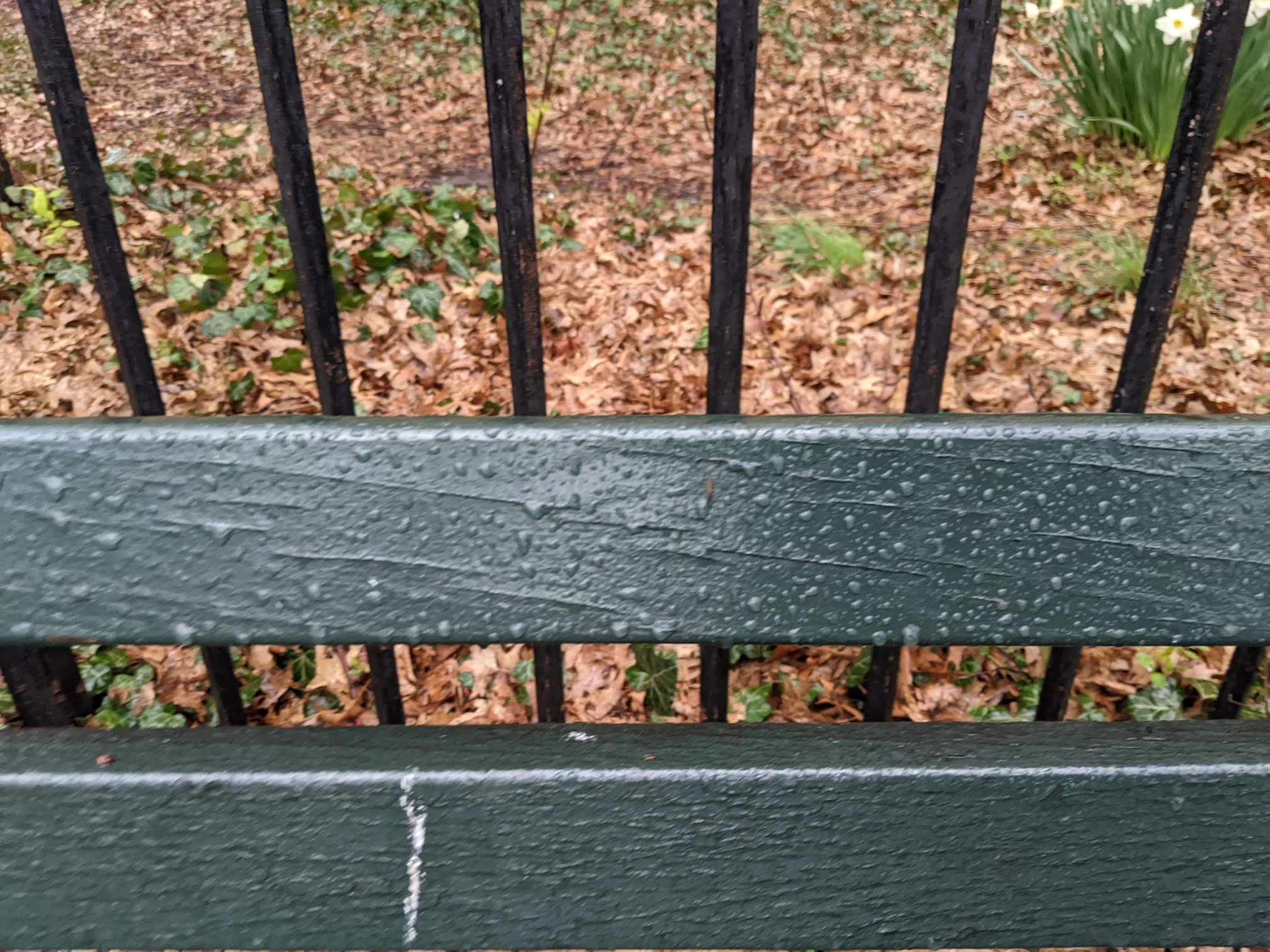 I saw this bench in Central Park