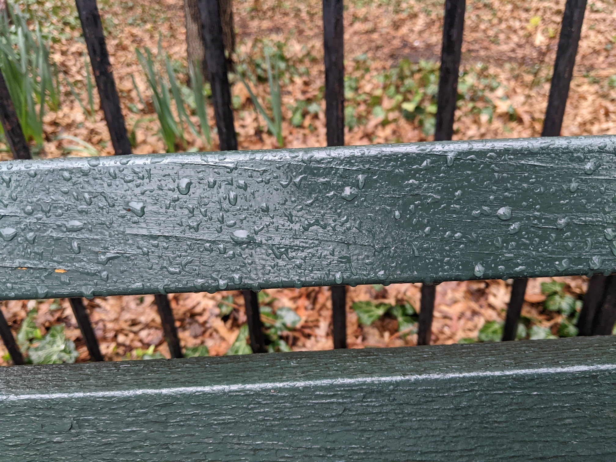 I saw this bench in Central Park