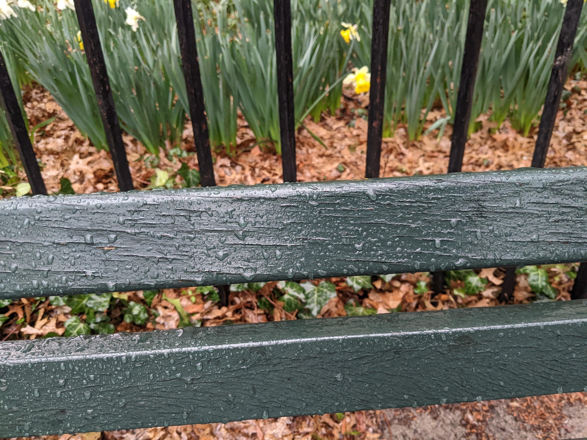 I saw this bench in Central Park