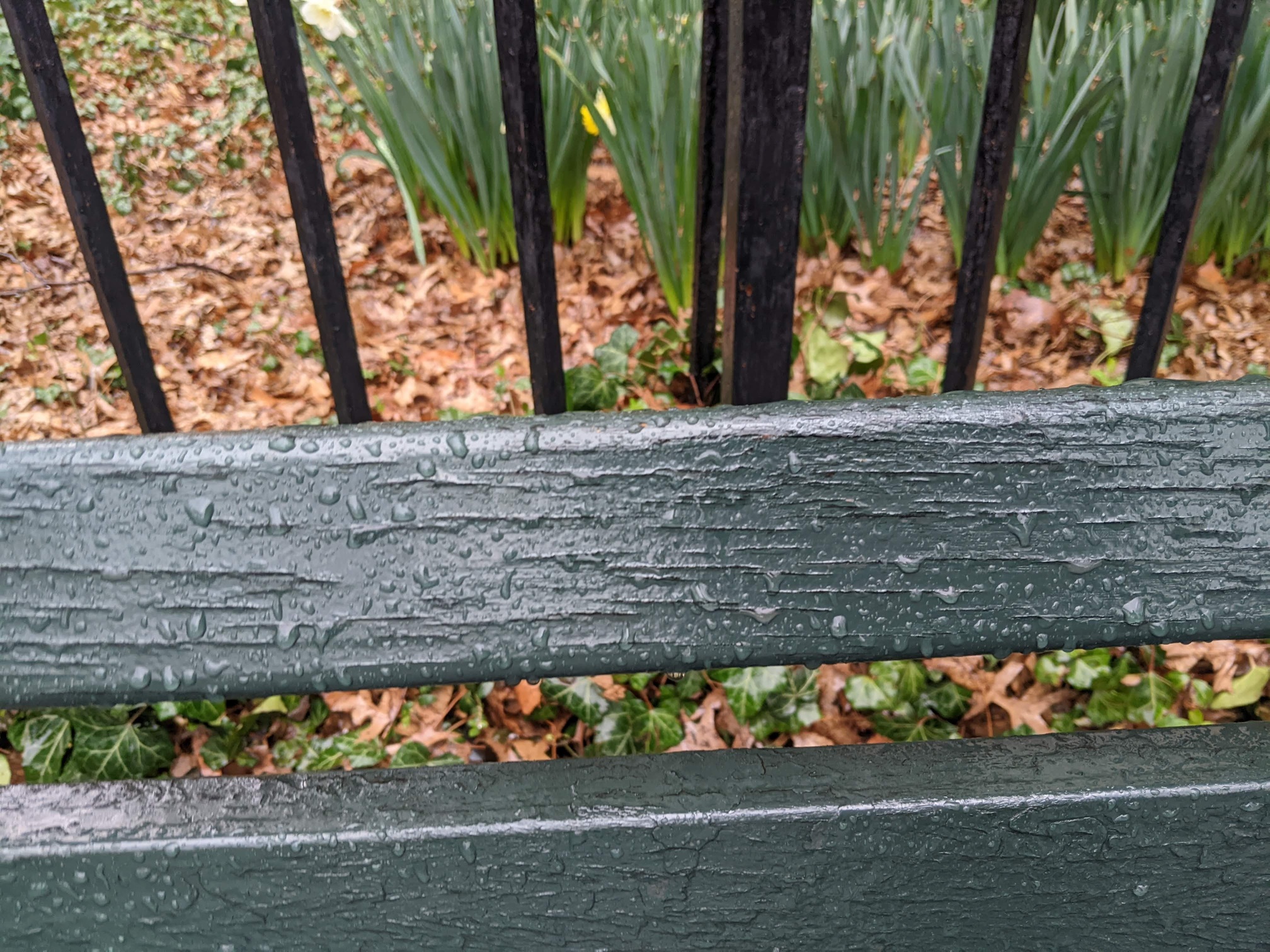 I saw this bench in Central Park