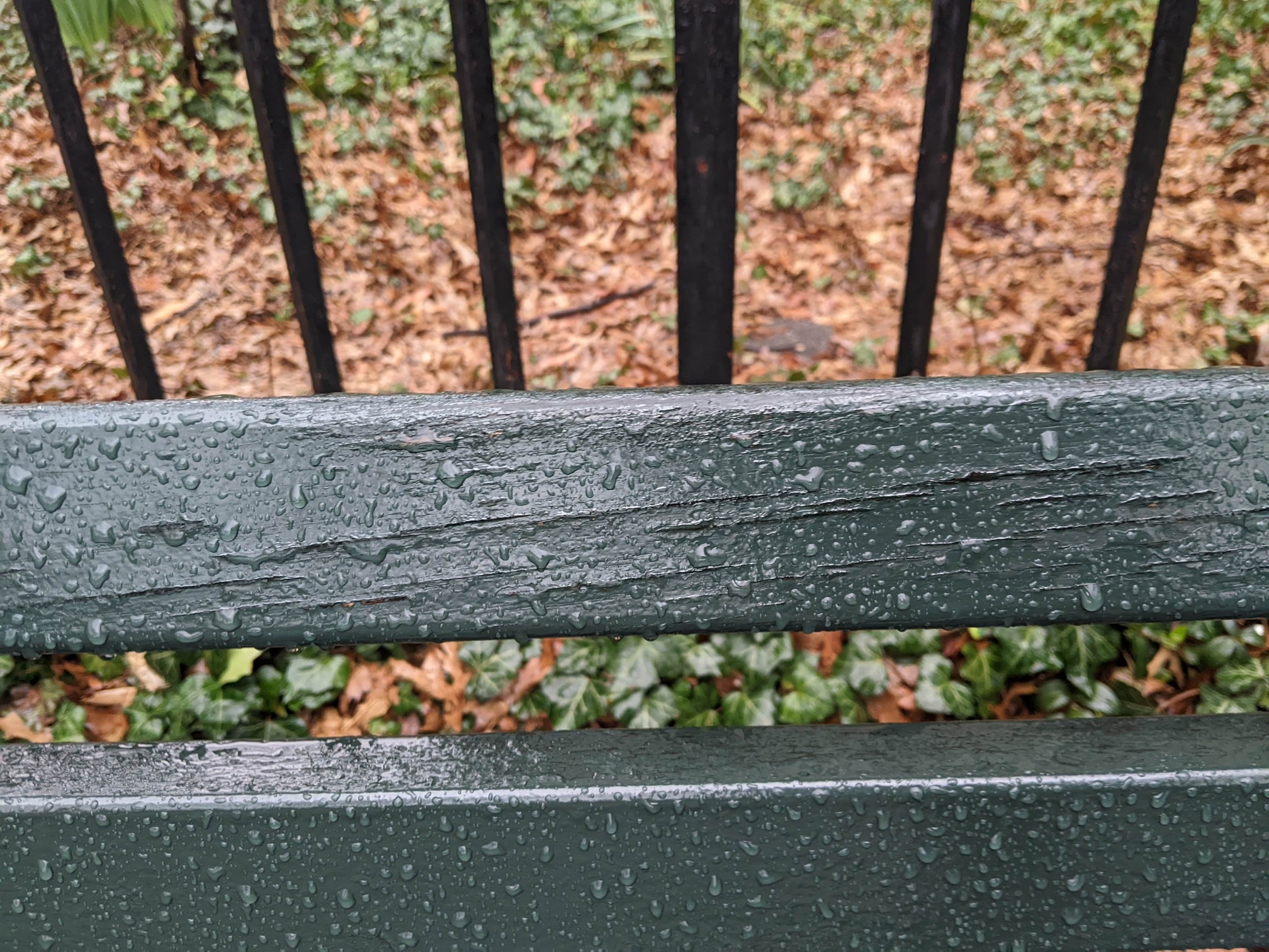 I saw this bench in Central Park