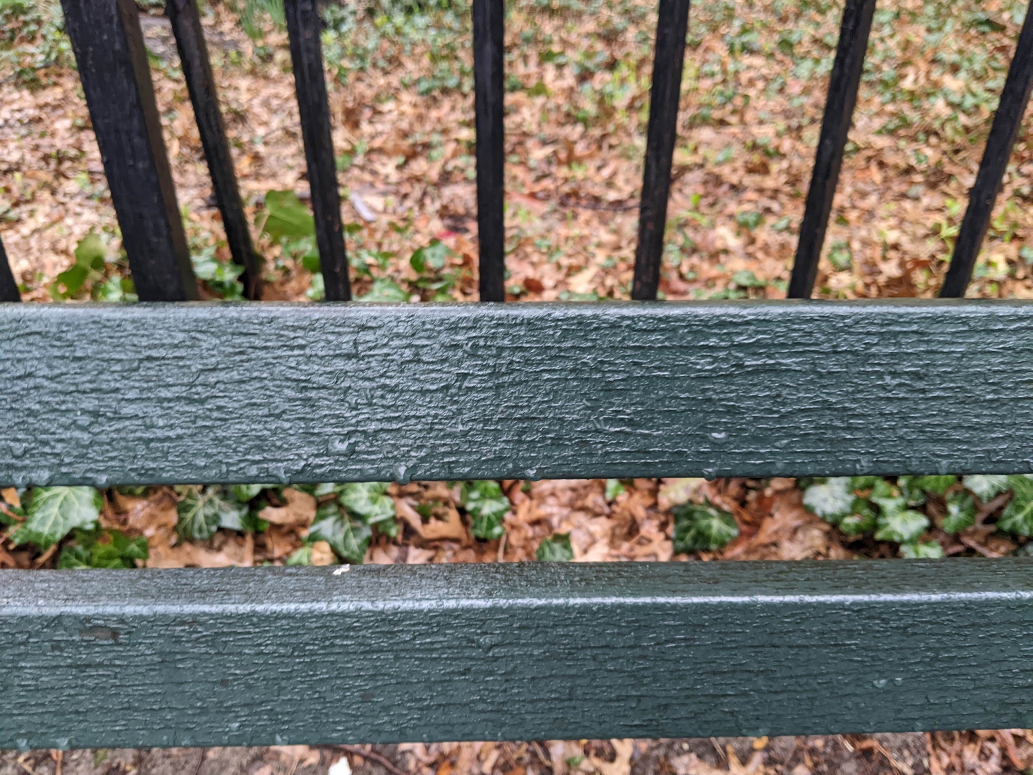 I saw this bench in Central Park