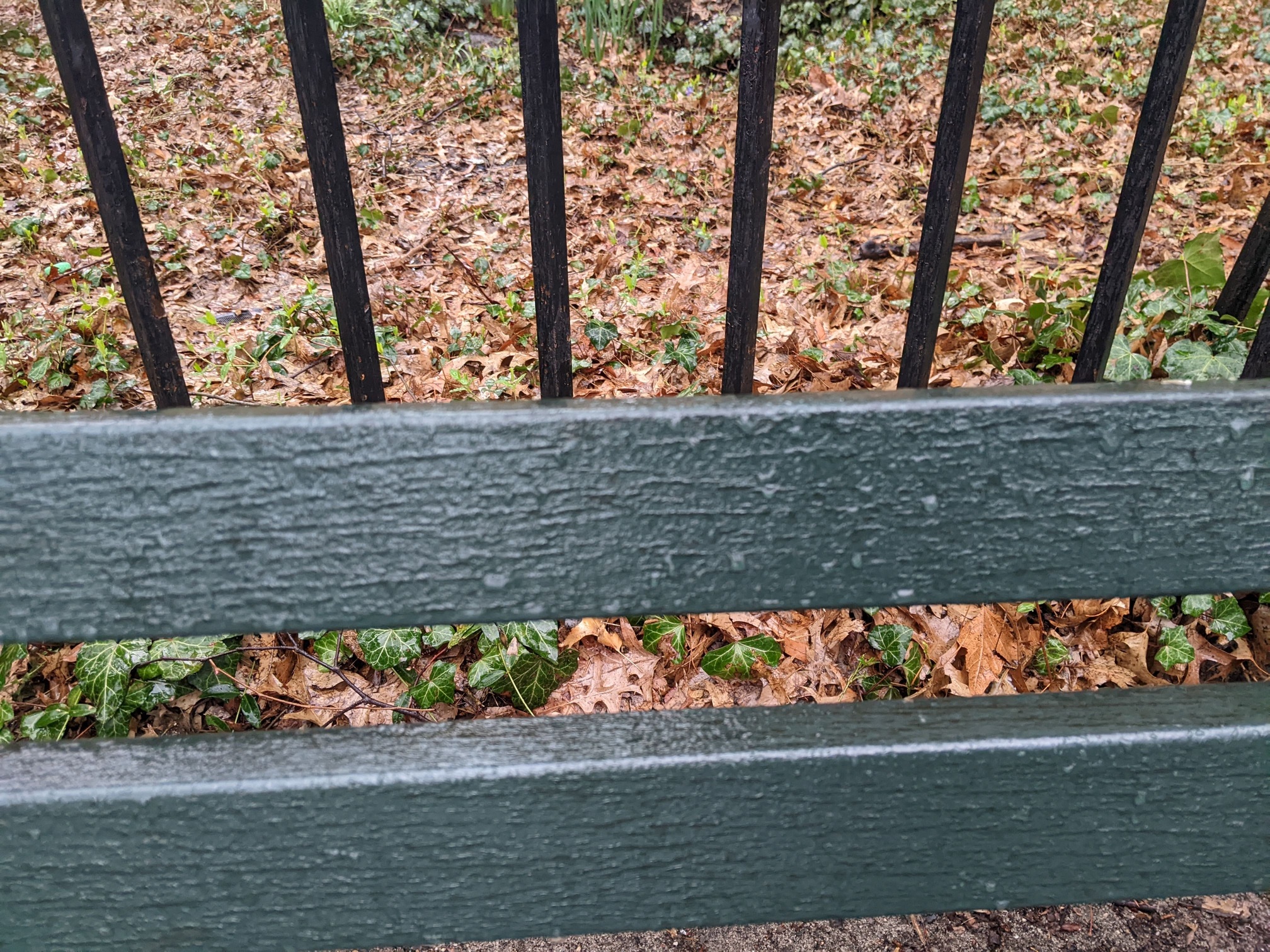 I saw this bench in Central Park