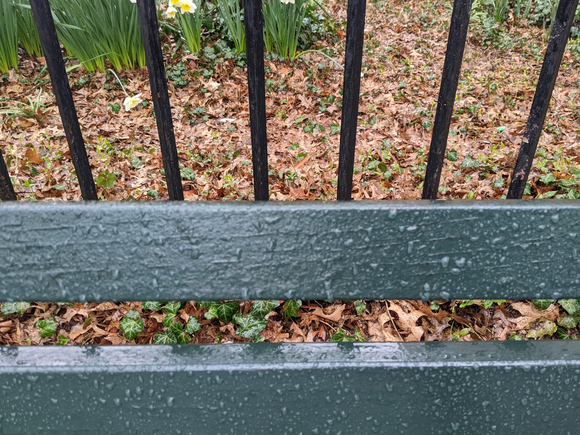 I saw this bench in Central Park