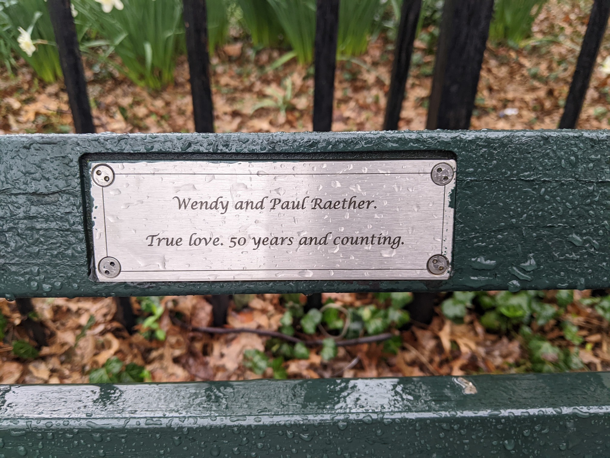 I saw this bench in Central Park