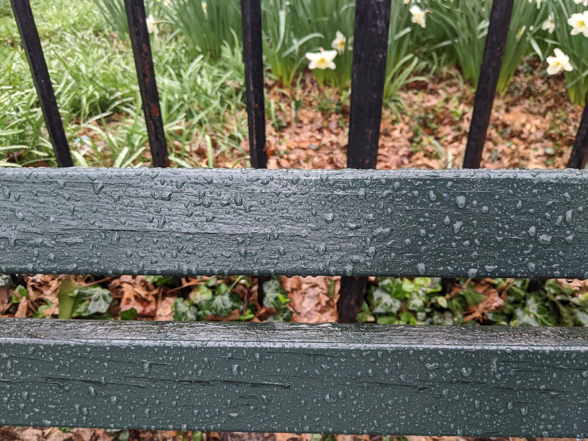 I saw this bench in Central Park