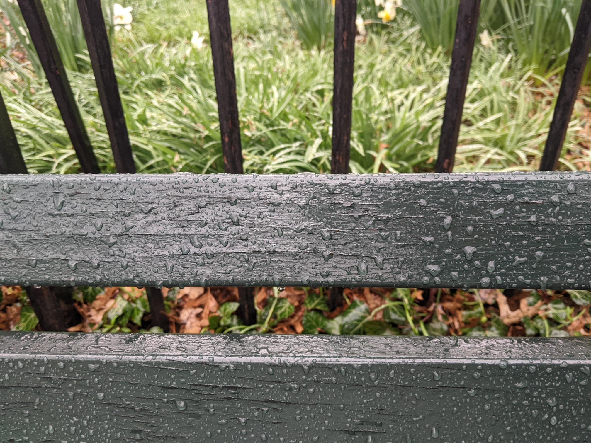 I saw this bench in Central Park