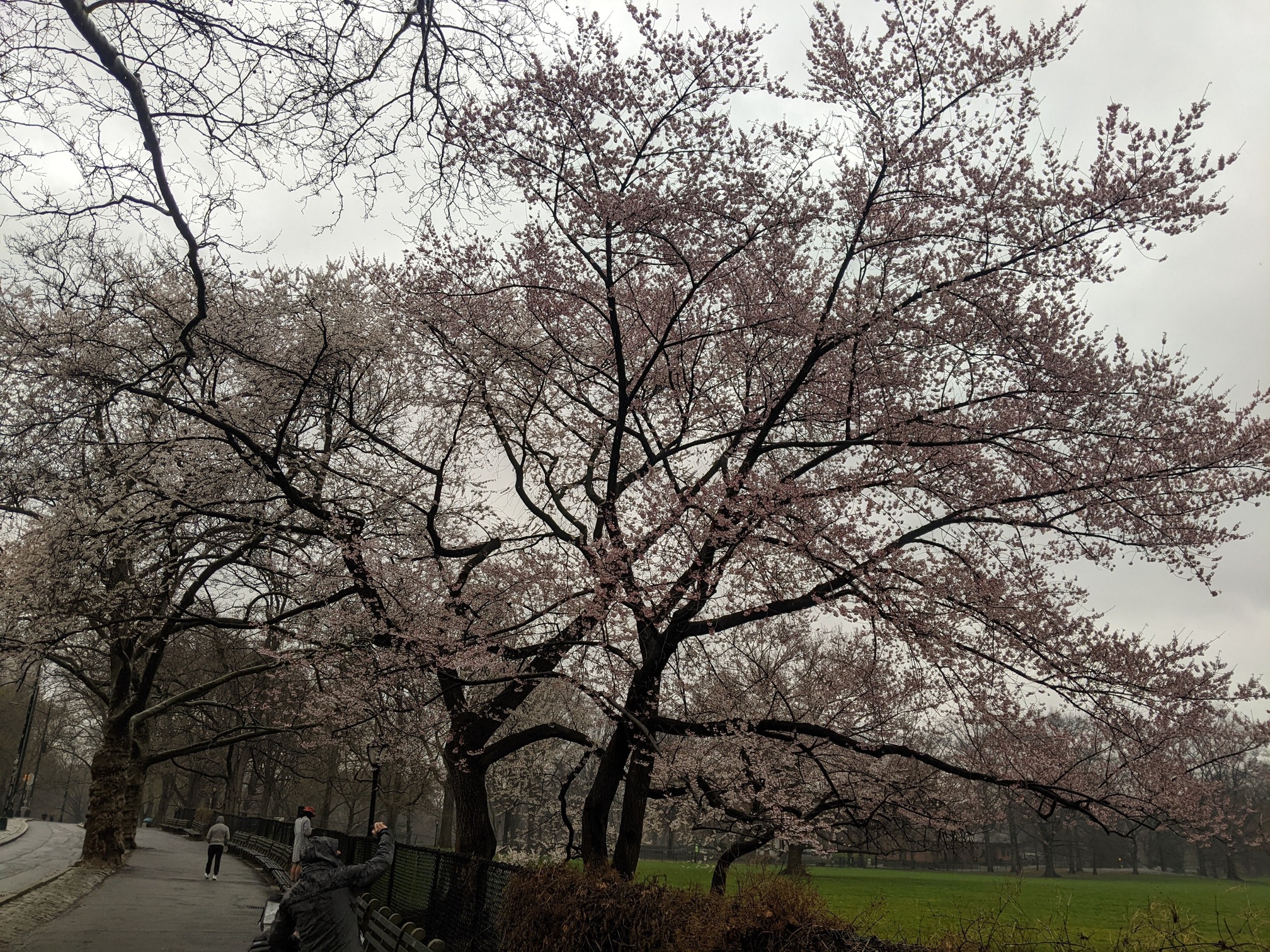 I saw this bench in Central Park