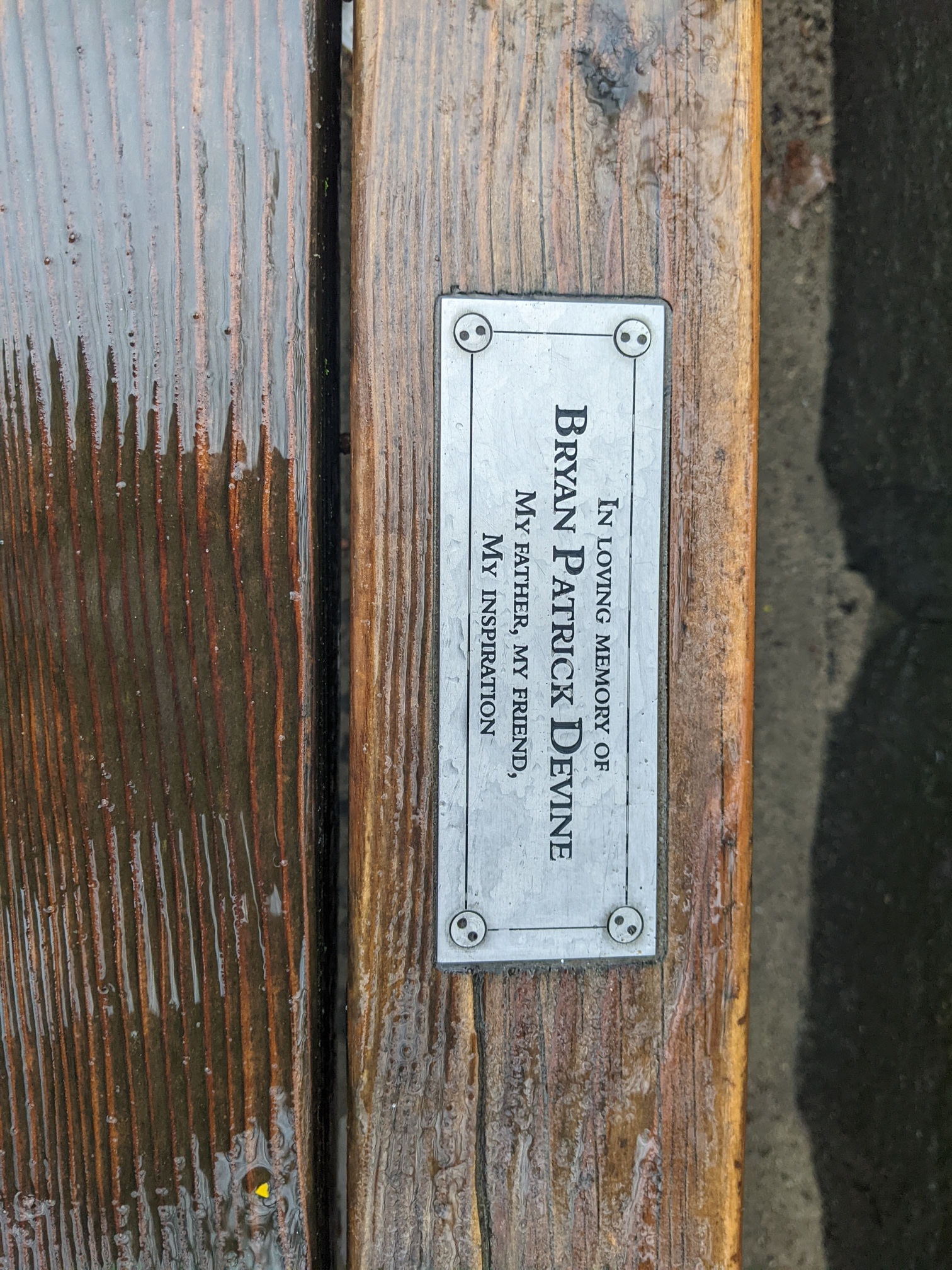 I saw this bench in Central Park