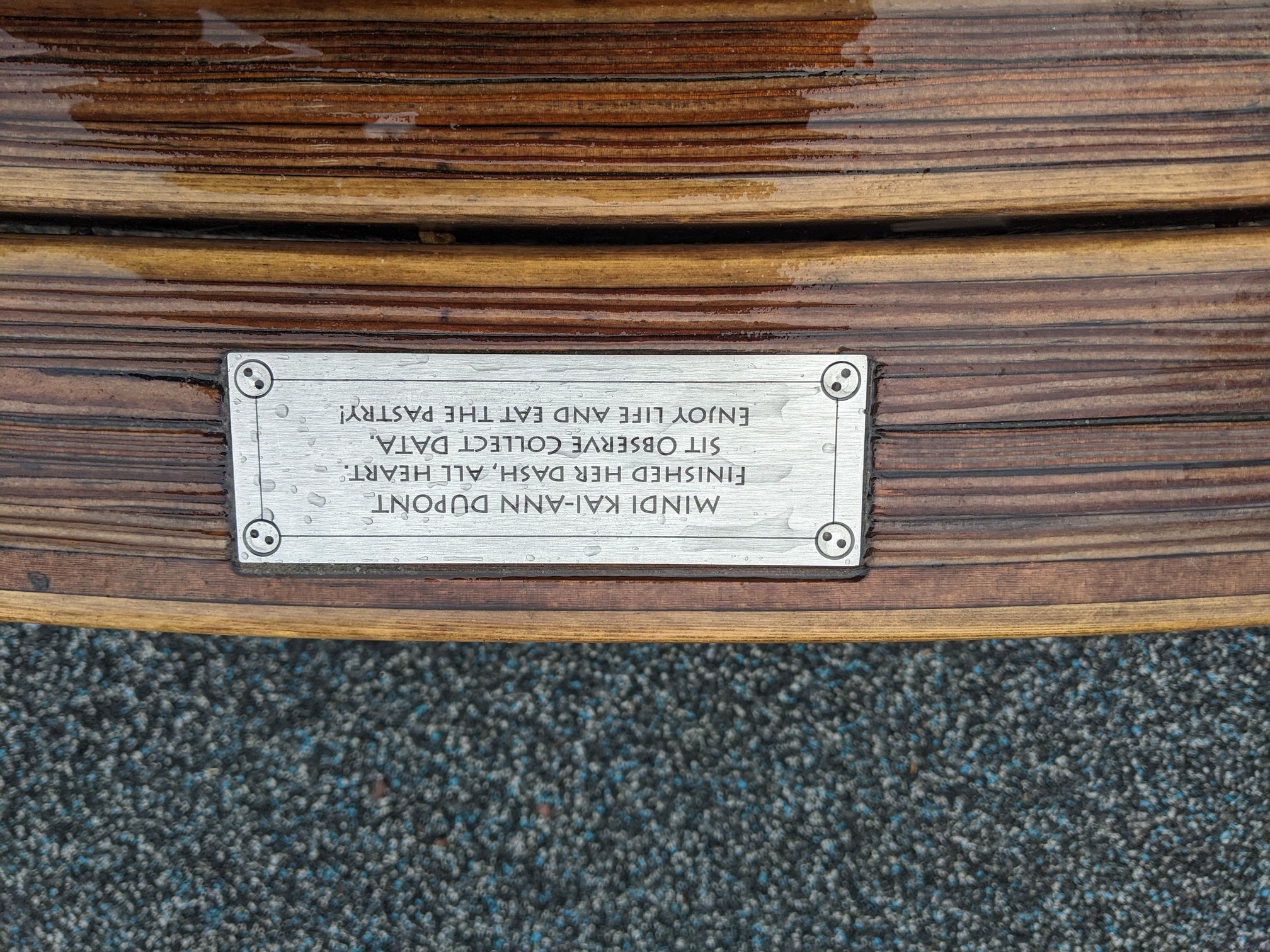 I saw this bench in Central Park