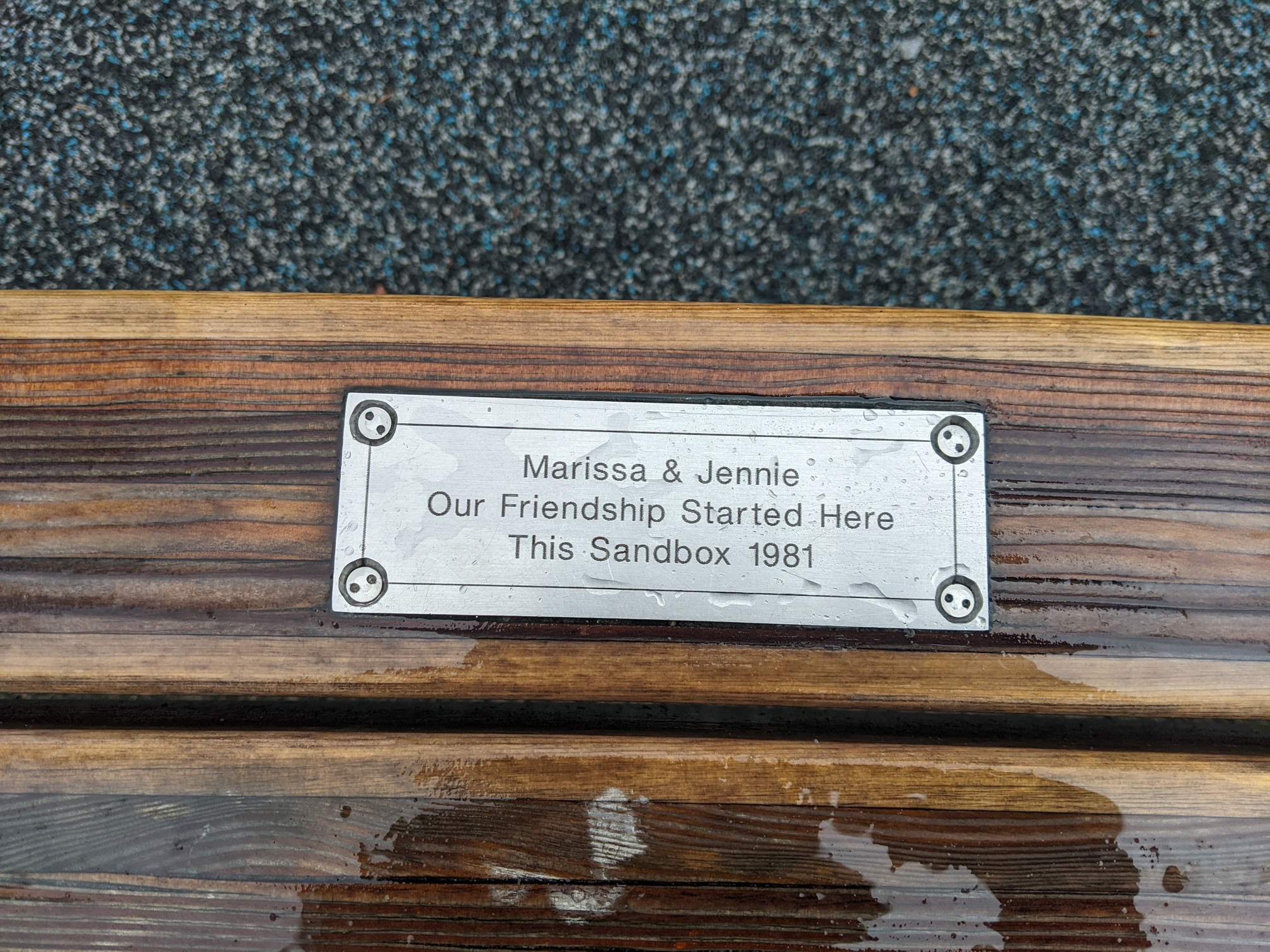 I saw this bench in Central Park