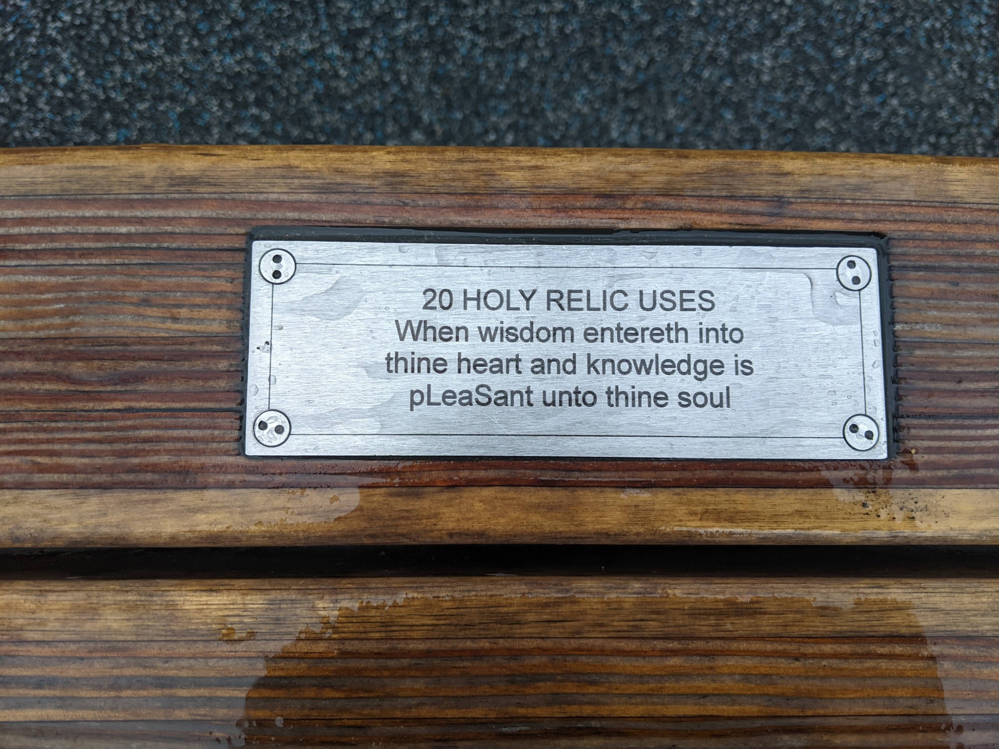 I saw this bench in Central Park