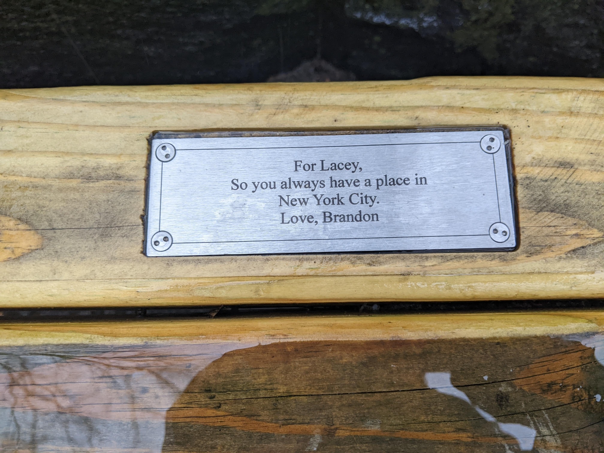 I saw this bench in Central Park