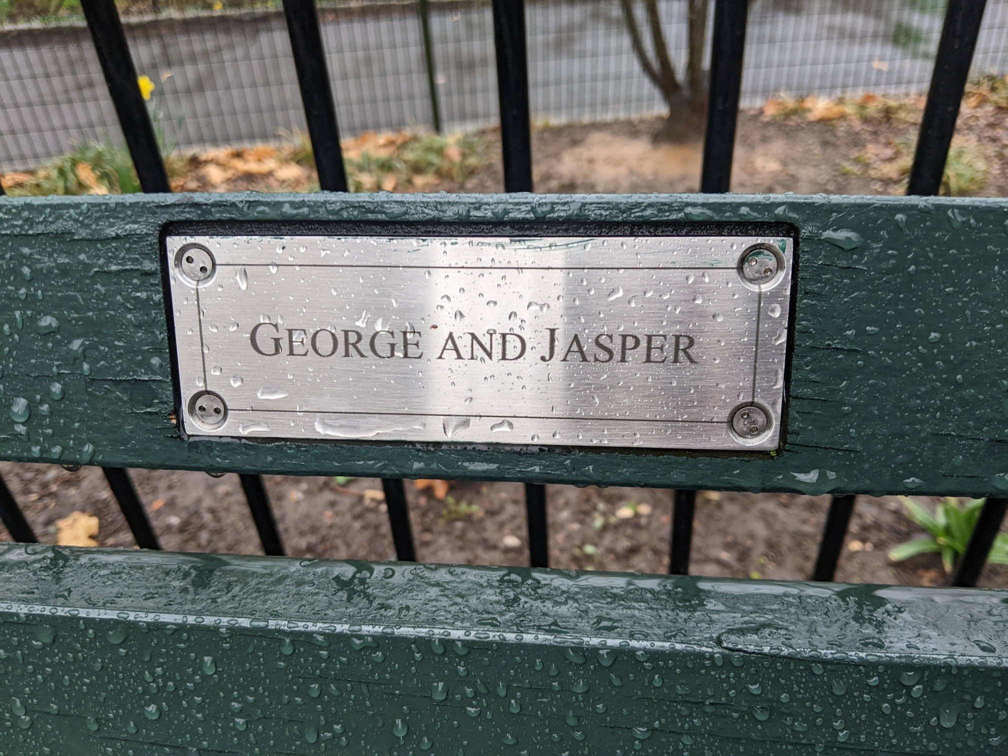 I saw this bench in Central Park