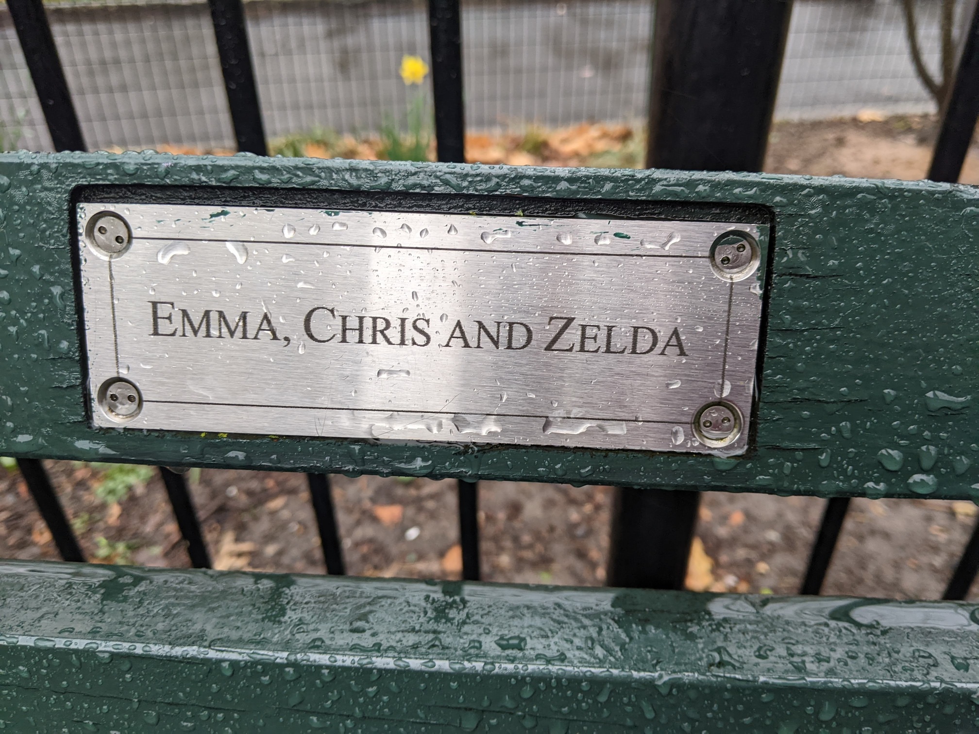 I saw this bench in Central Park