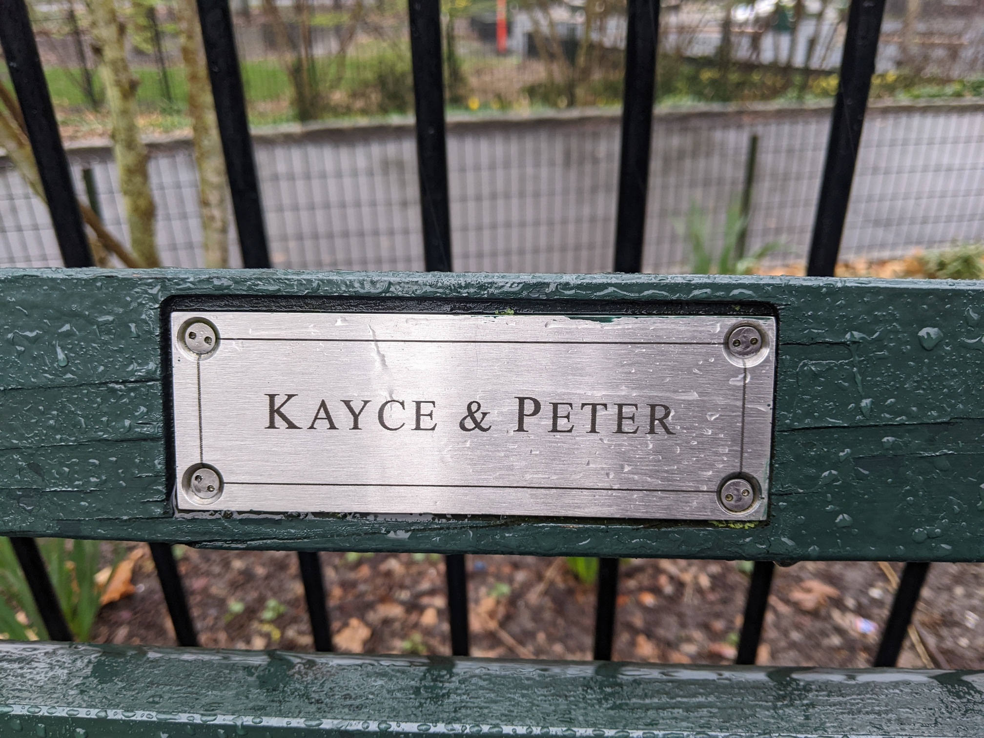 I saw this bench in Central Park