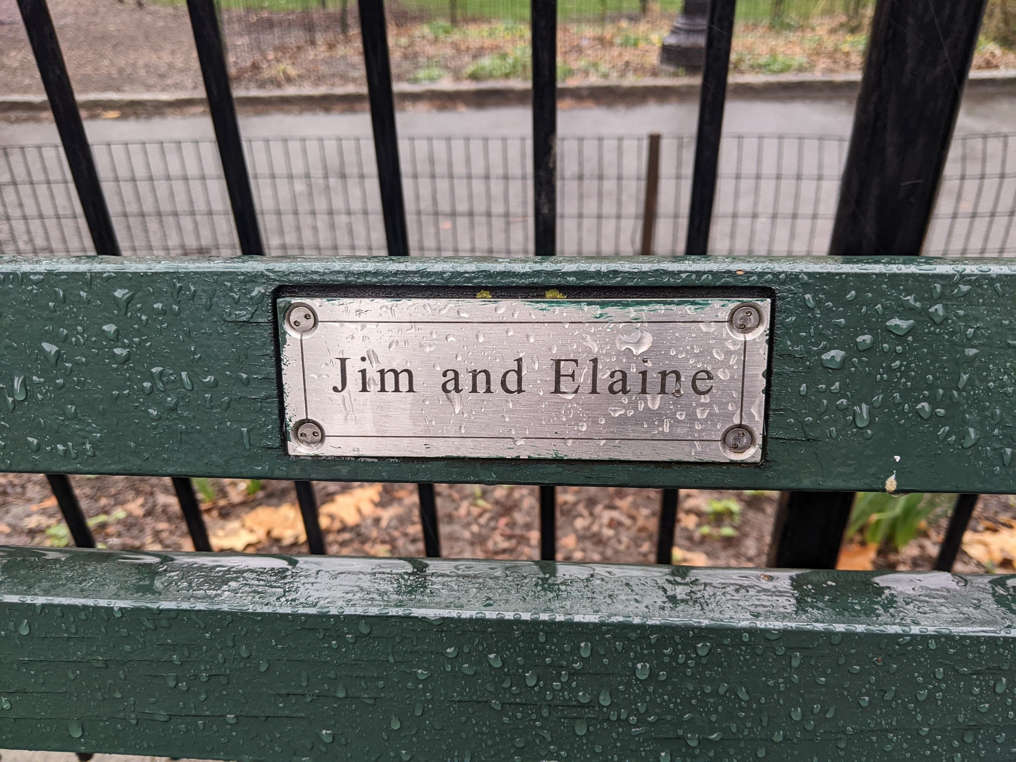 I saw this bench in Central Park