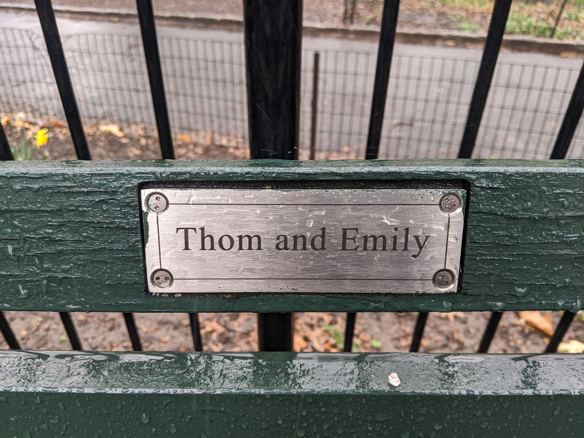 I saw this bench in Central Park