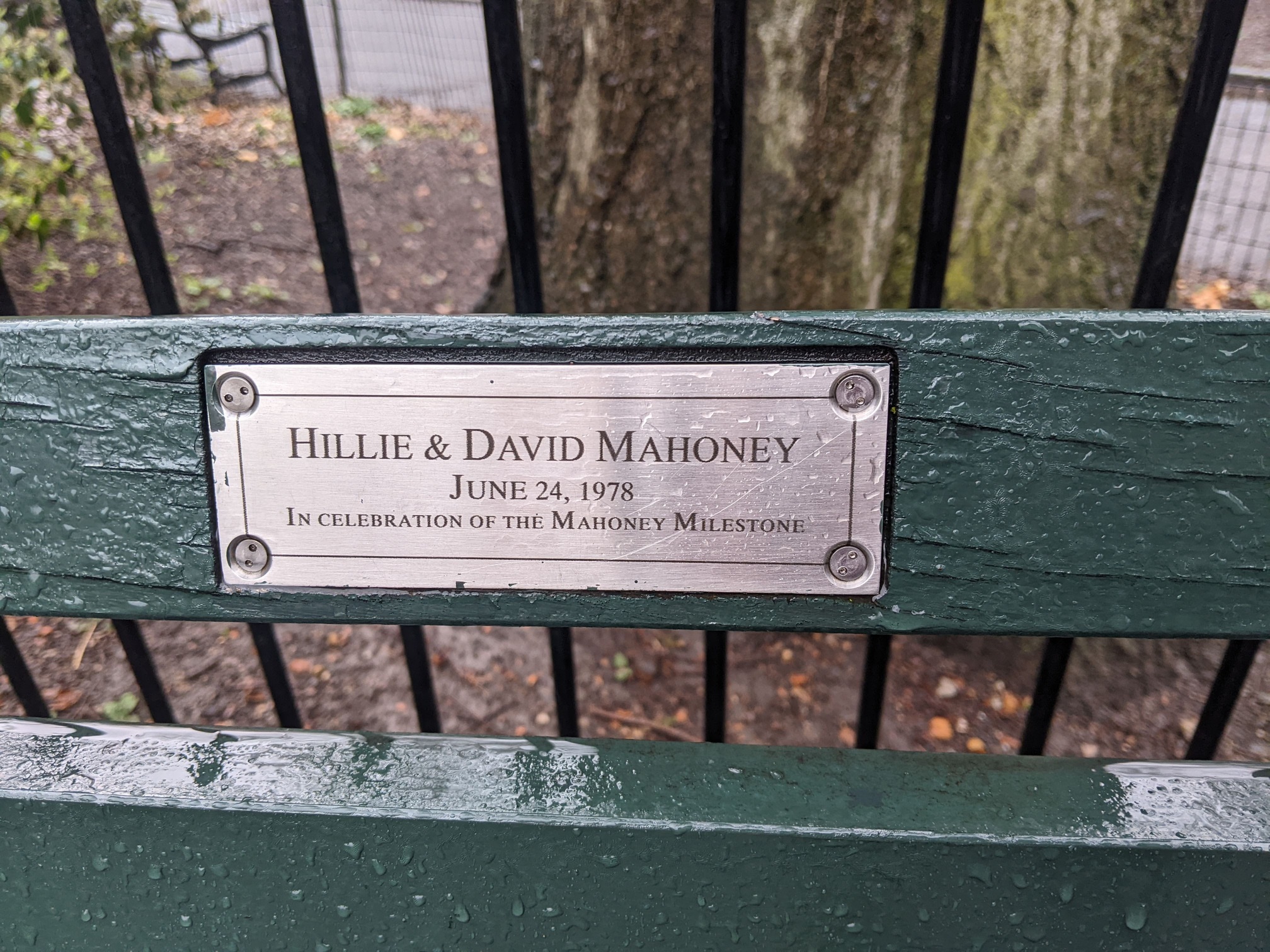 I saw this bench in Central Park