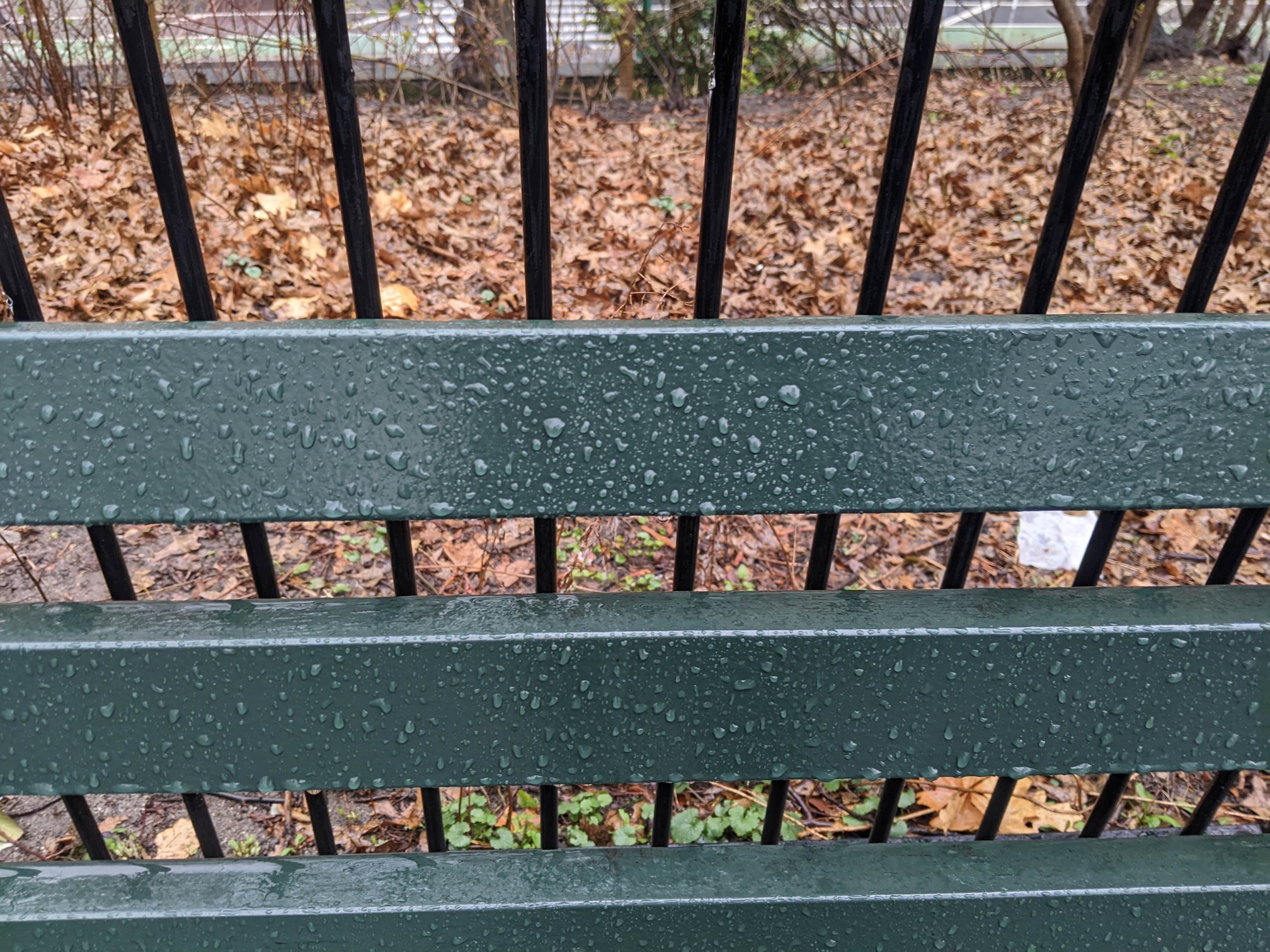 I saw this bench in Central Park