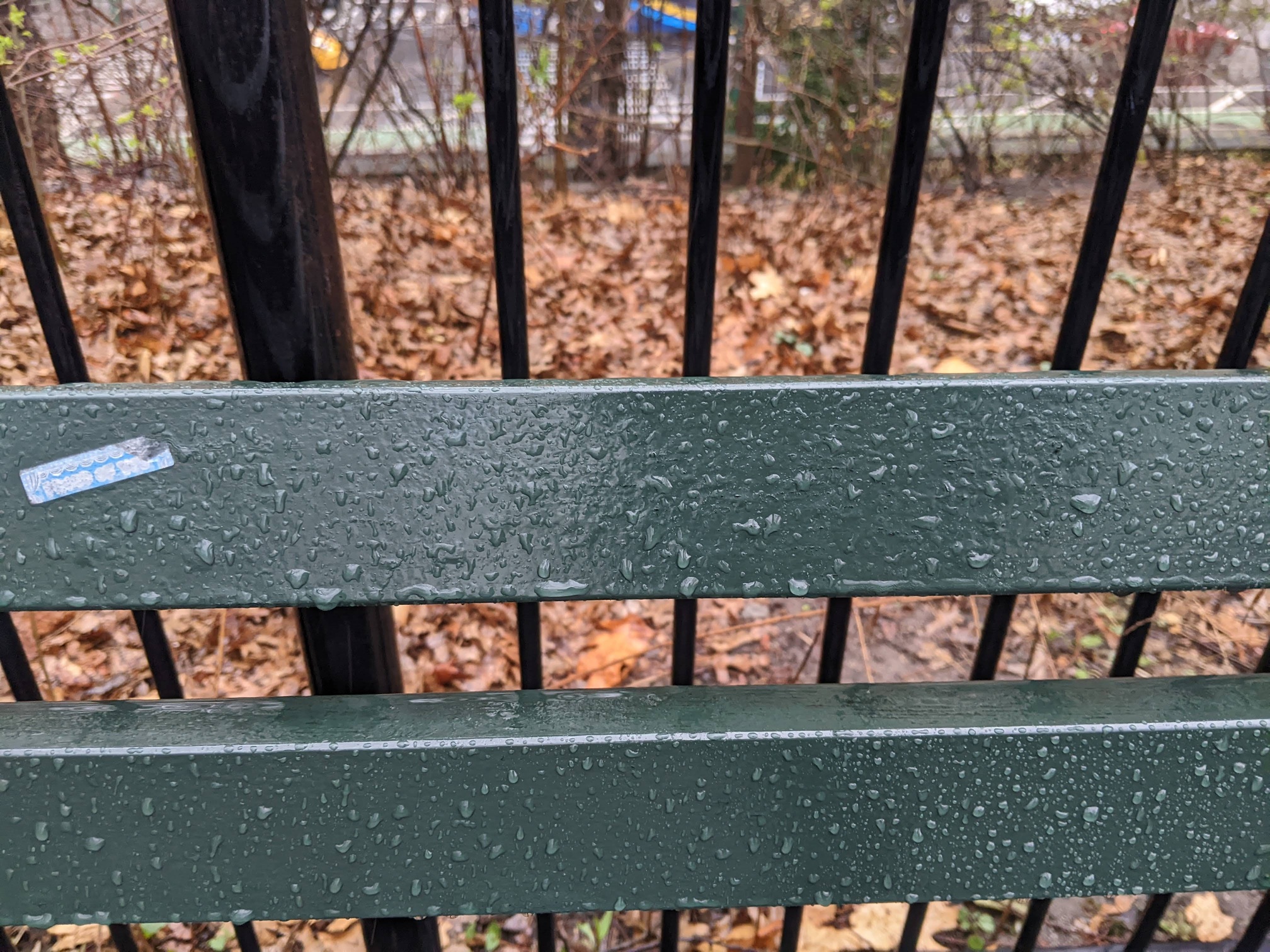 I saw this bench in Central Park