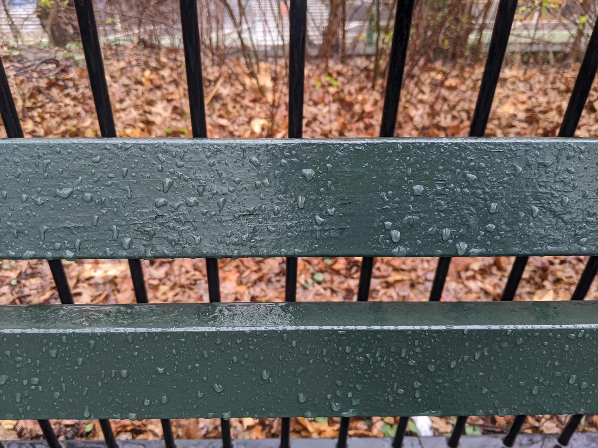 I saw this bench in Central Park