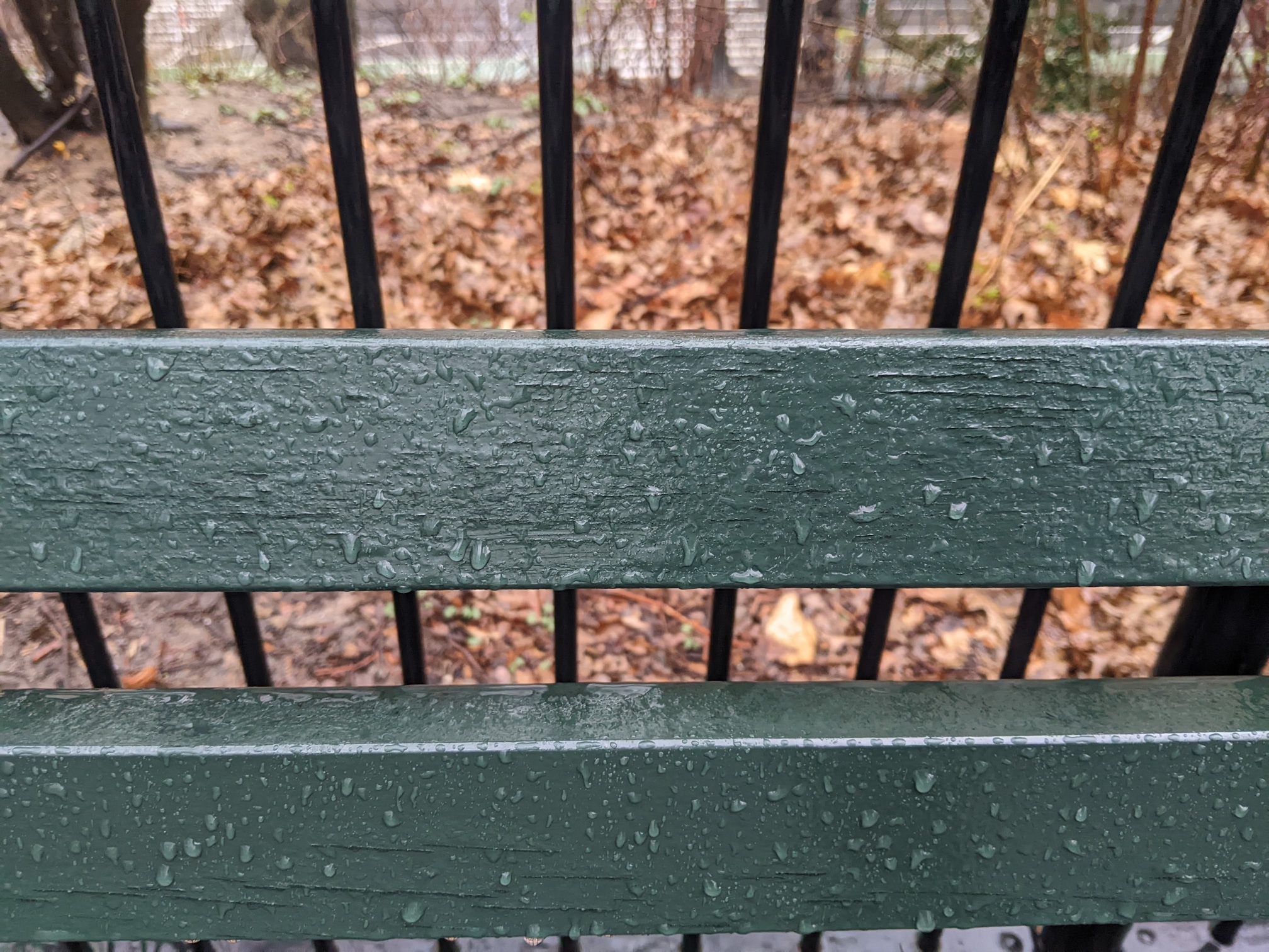 I saw this bench in Central Park